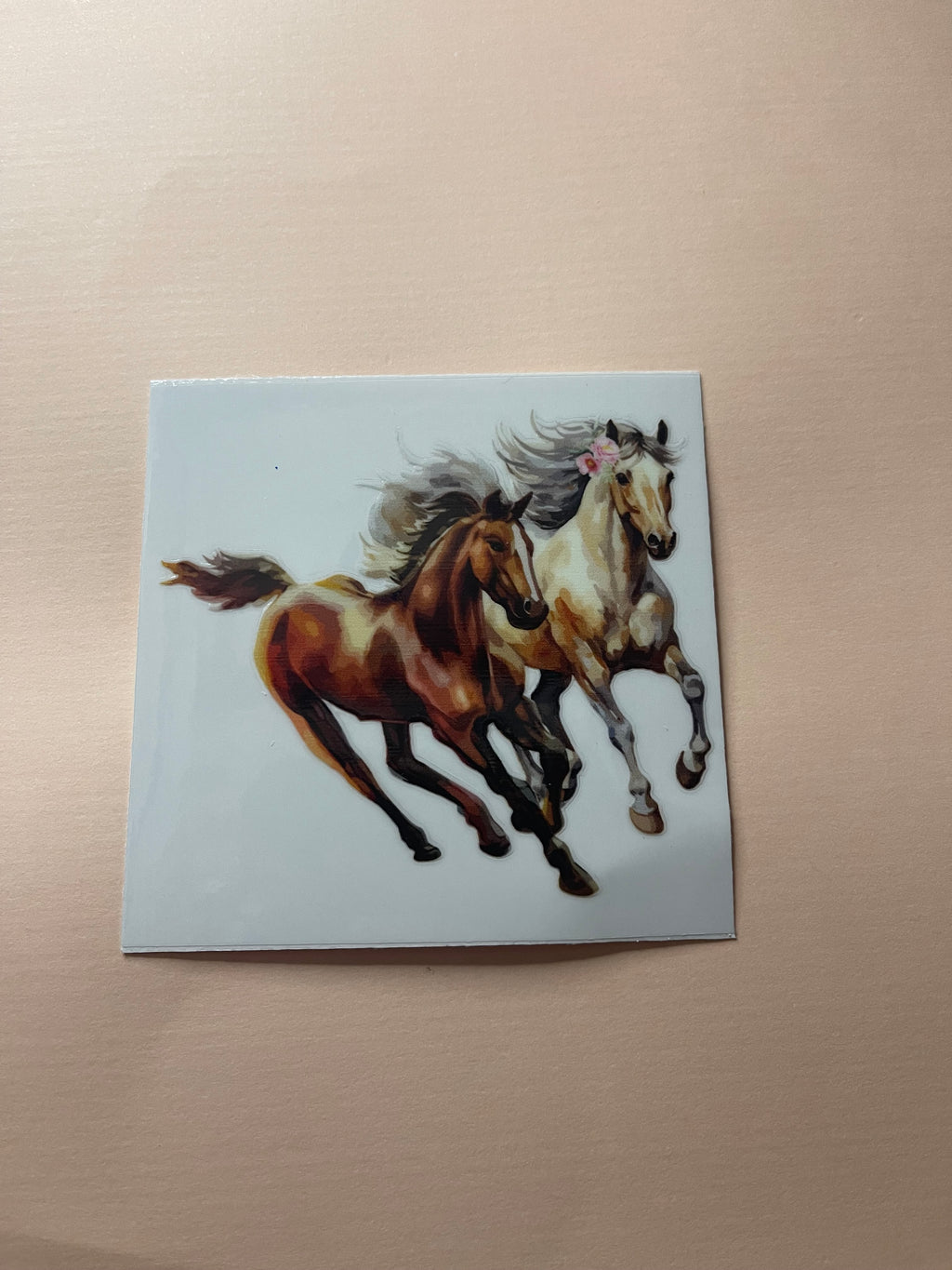 HORSE decals