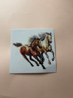 HORSE decals