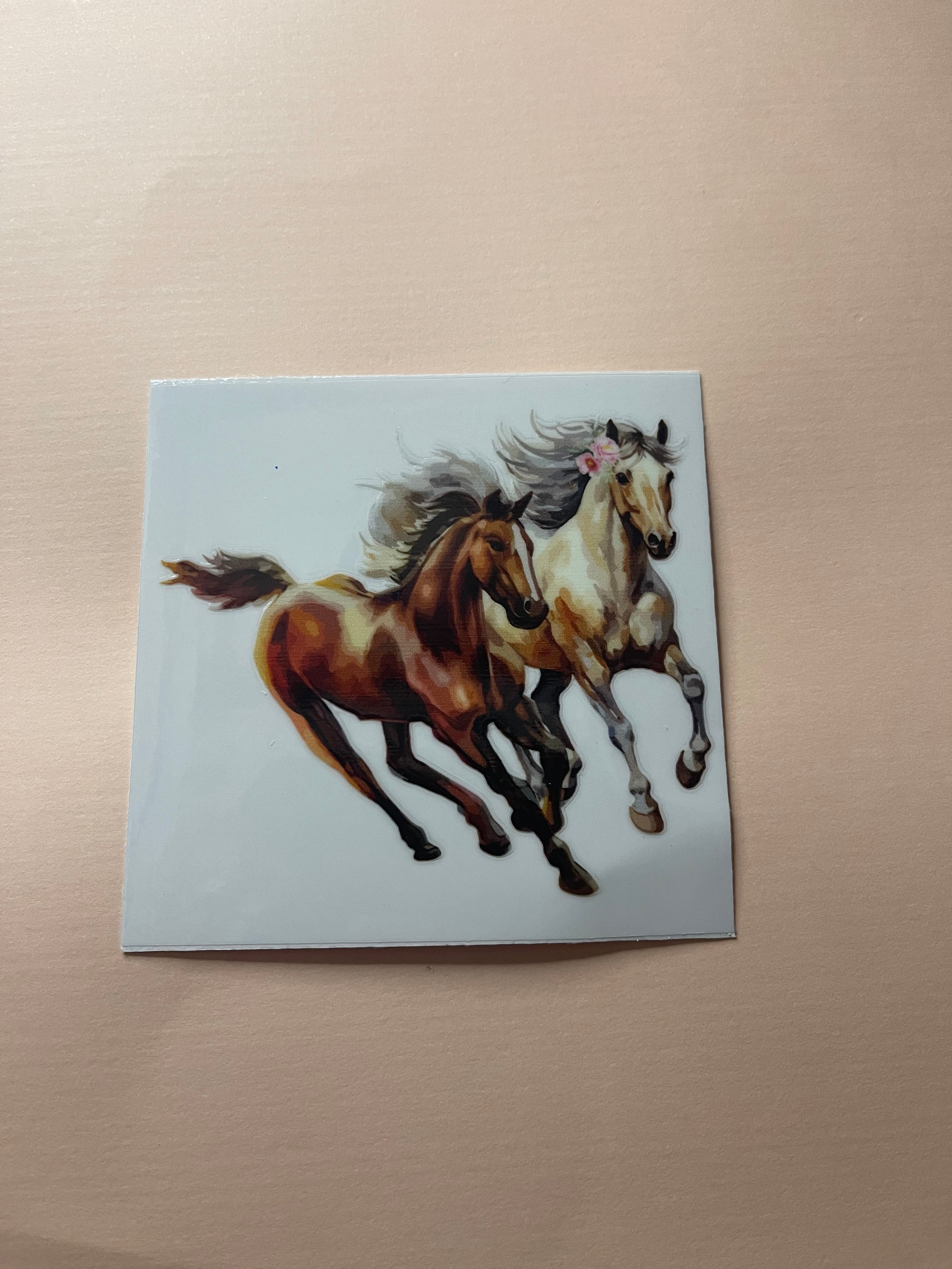 HORSE decals