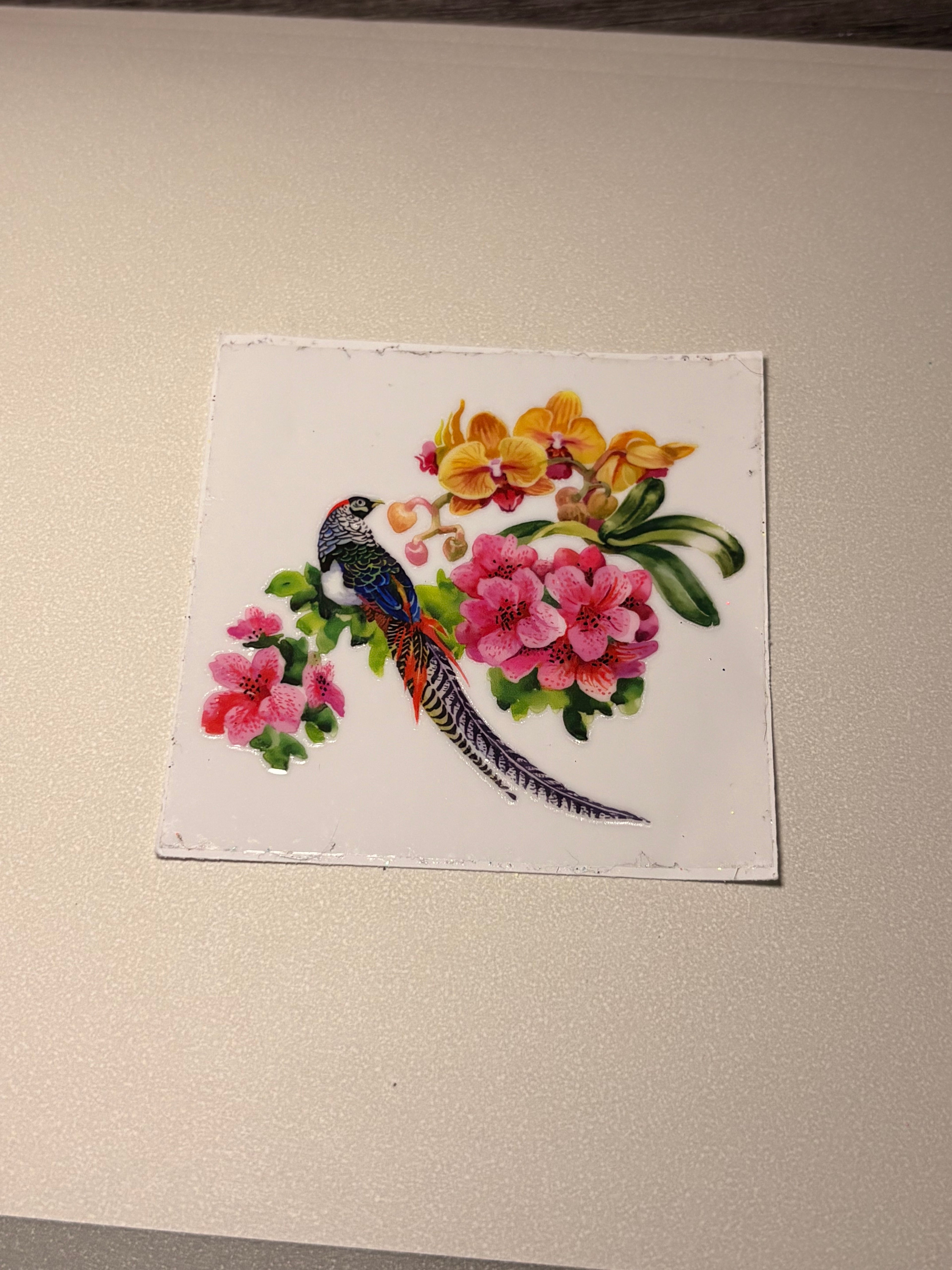 Animal/insect wraps🌵.