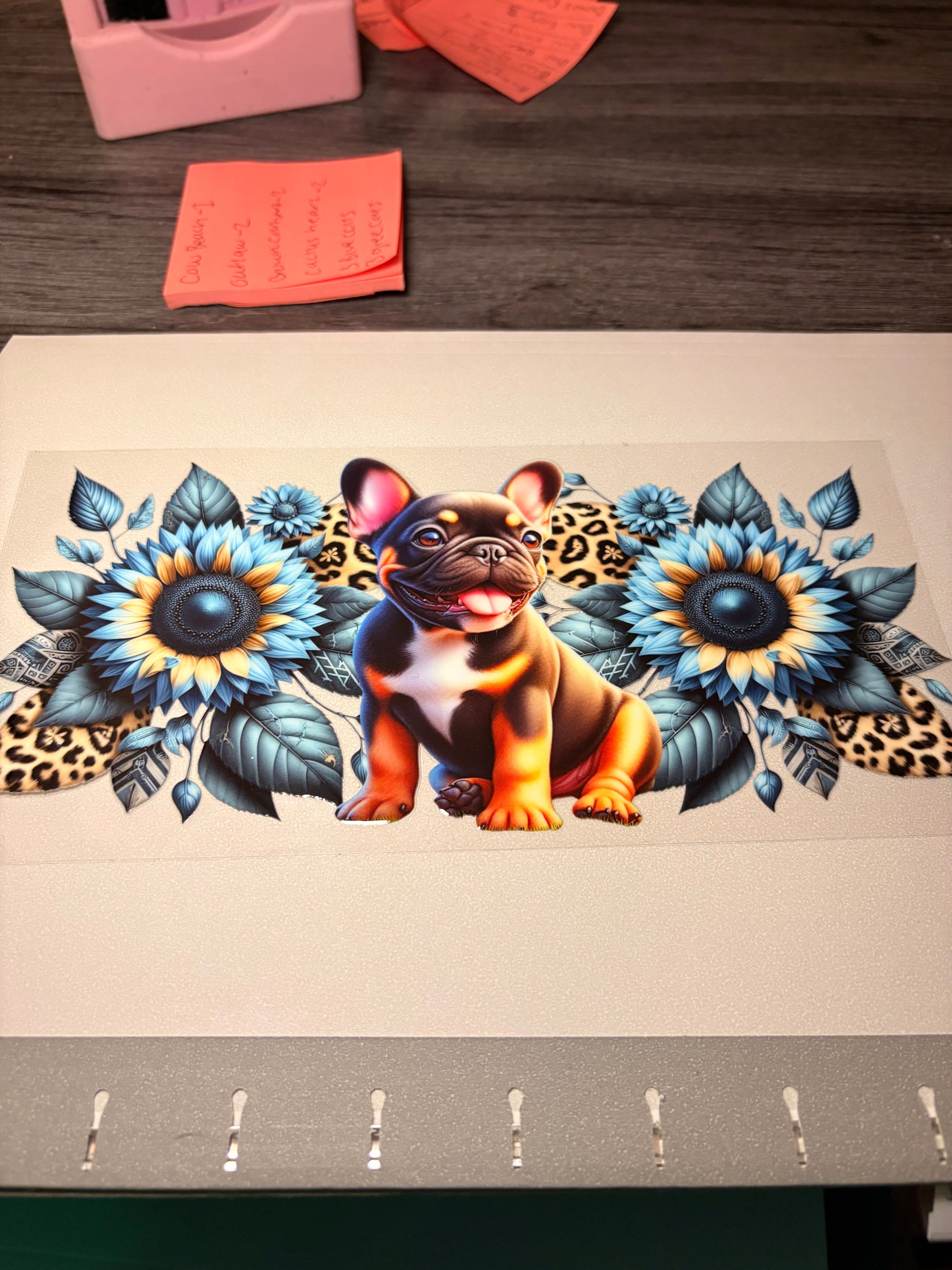 Animal/insect wraps🌵.