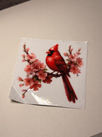 Animal/insect wraps🌵.