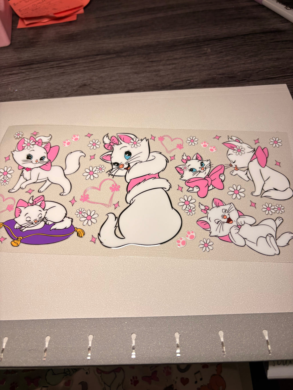 Animal/insect wraps🌵.