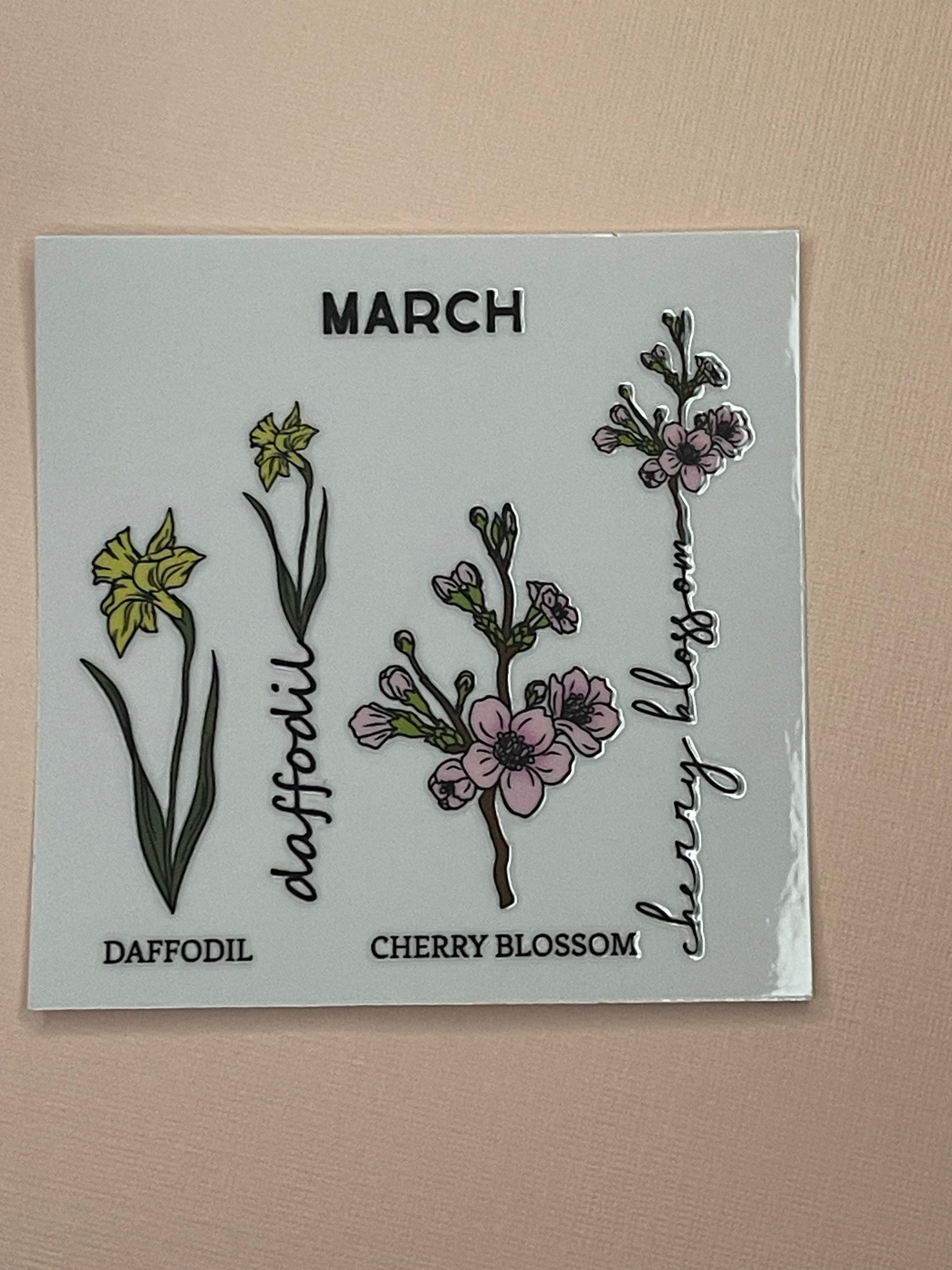 BIRTH MONTH decal