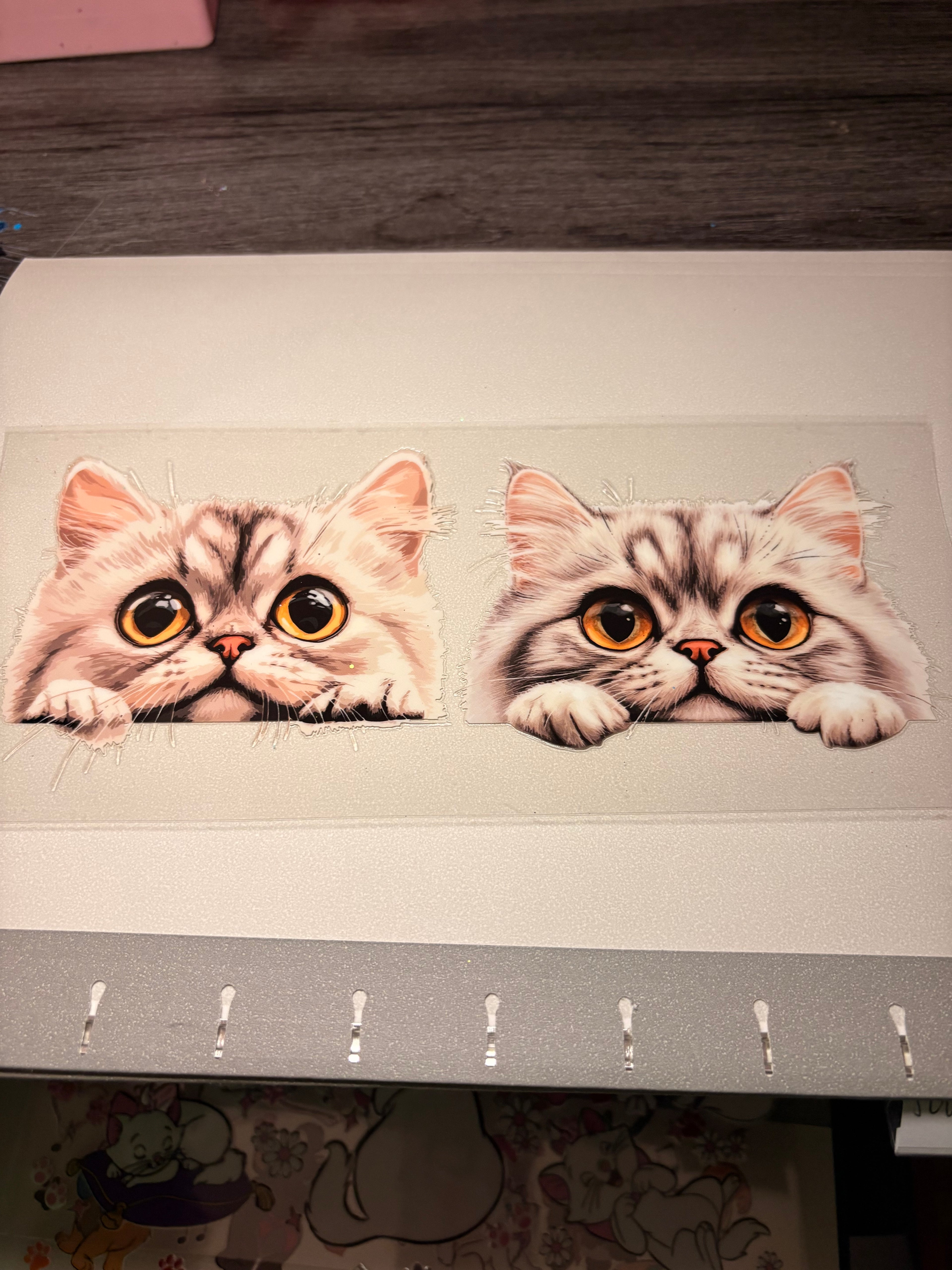 Animal/insect wraps🌵.