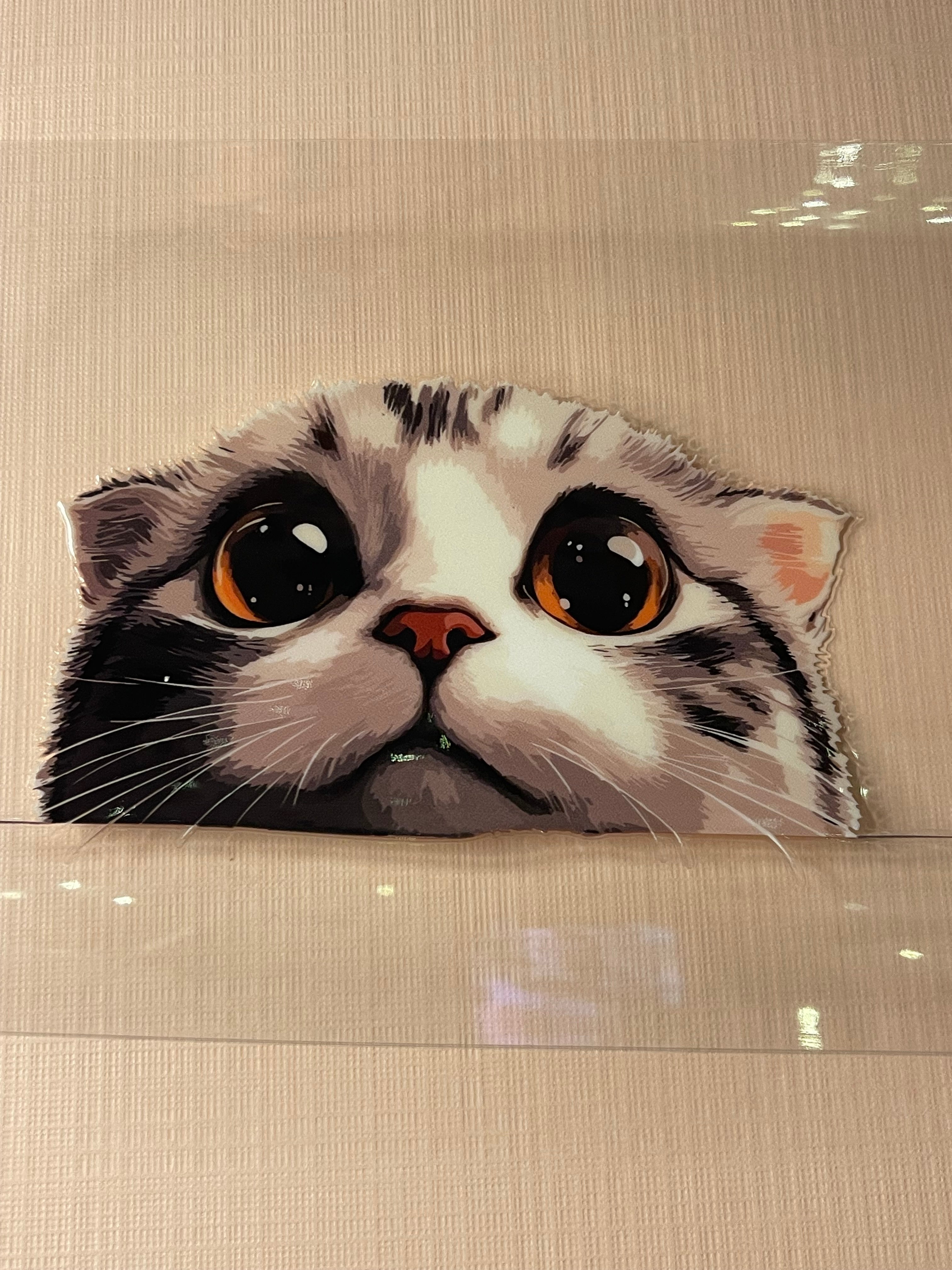 CAT decal