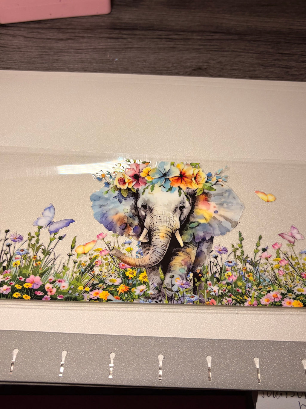 Animal/insect wraps🌵.