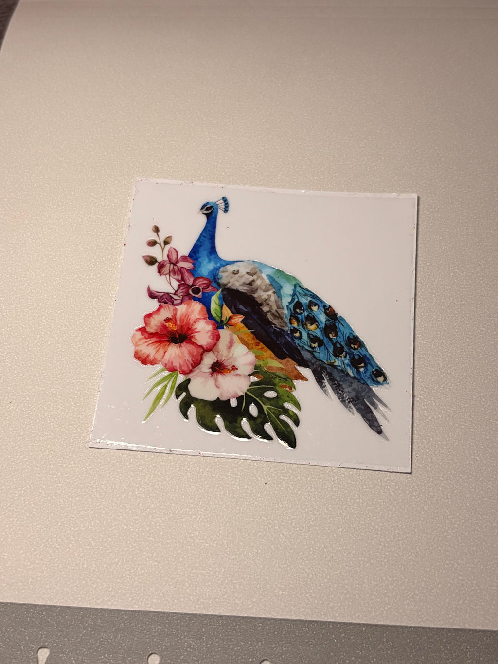 Animal/insect wraps🌵.