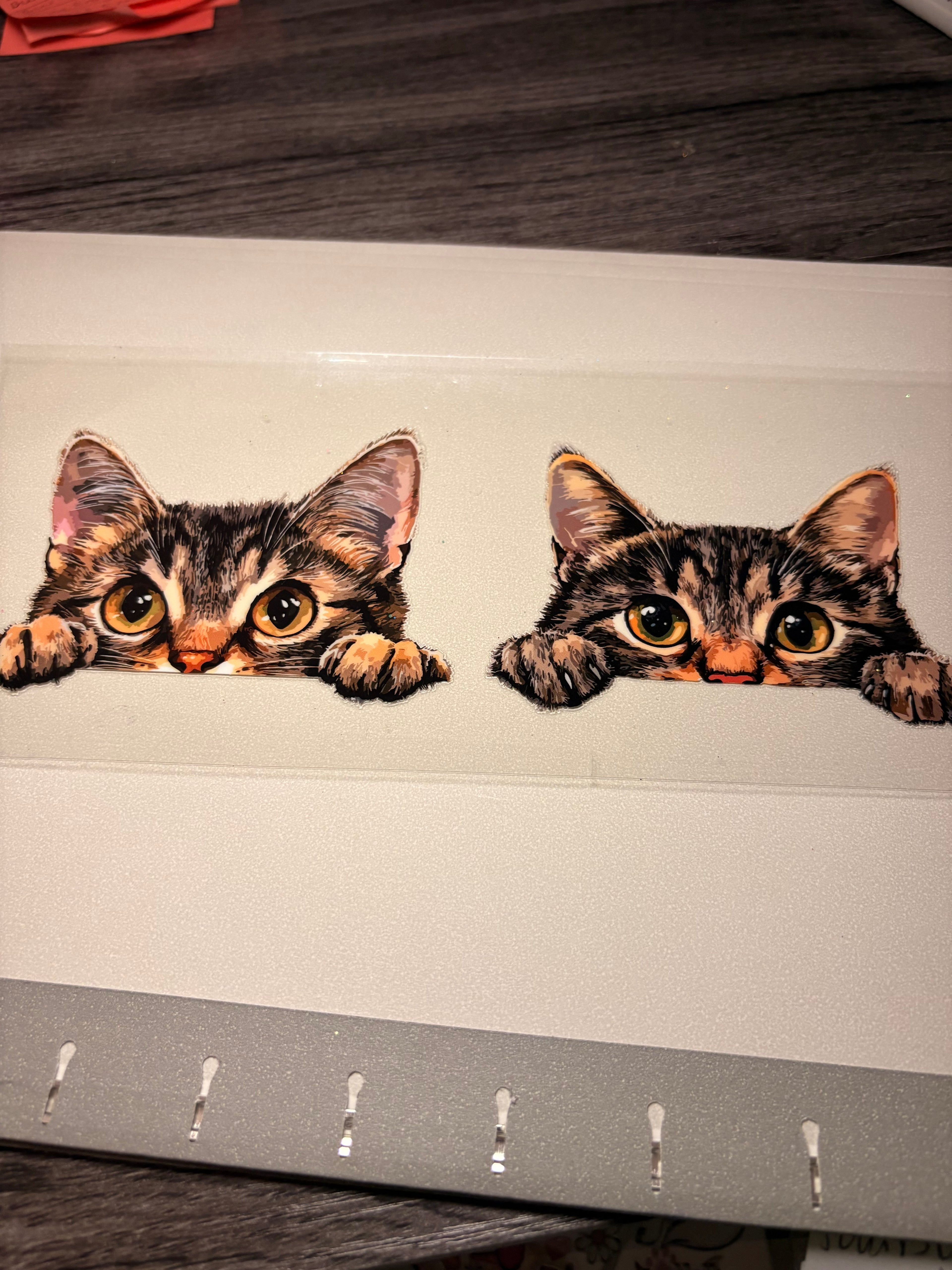 Animal/insect wraps🌵.