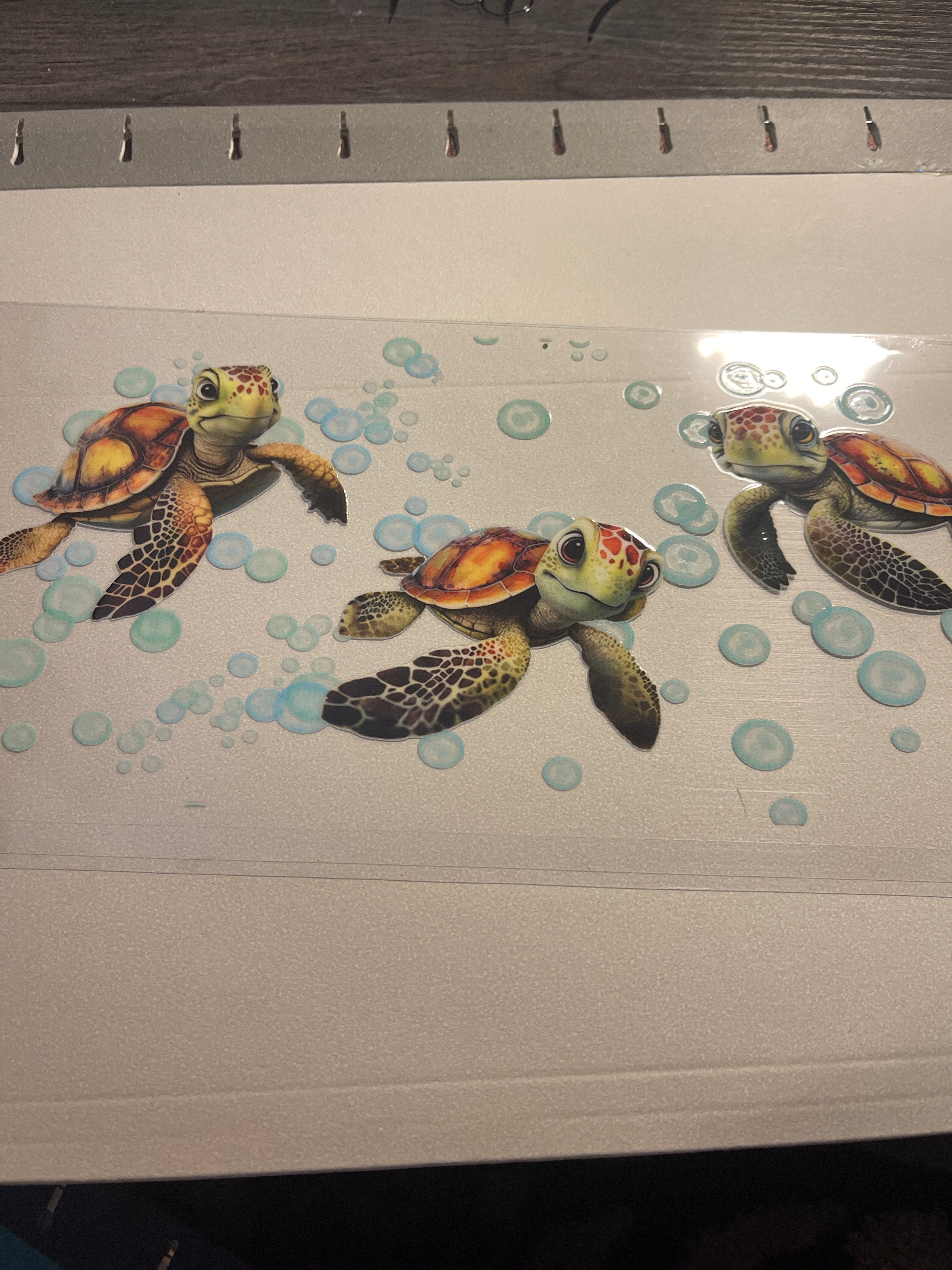 Animal/insect wraps🌵.