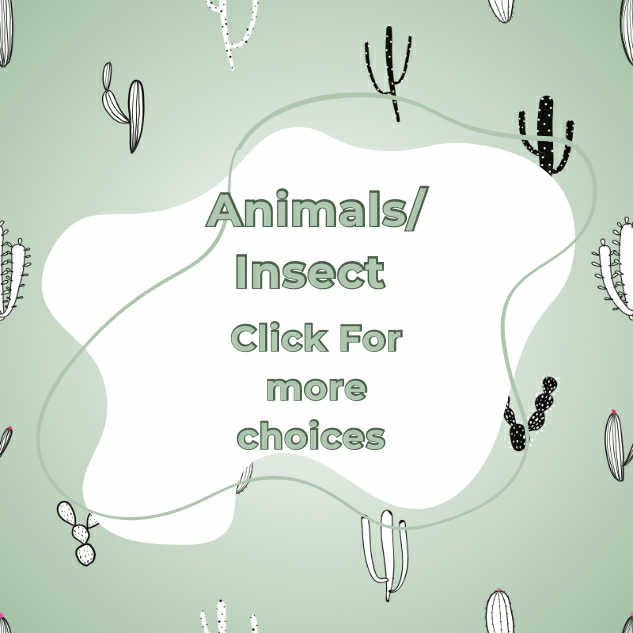 Animal/insect wraps🌵.