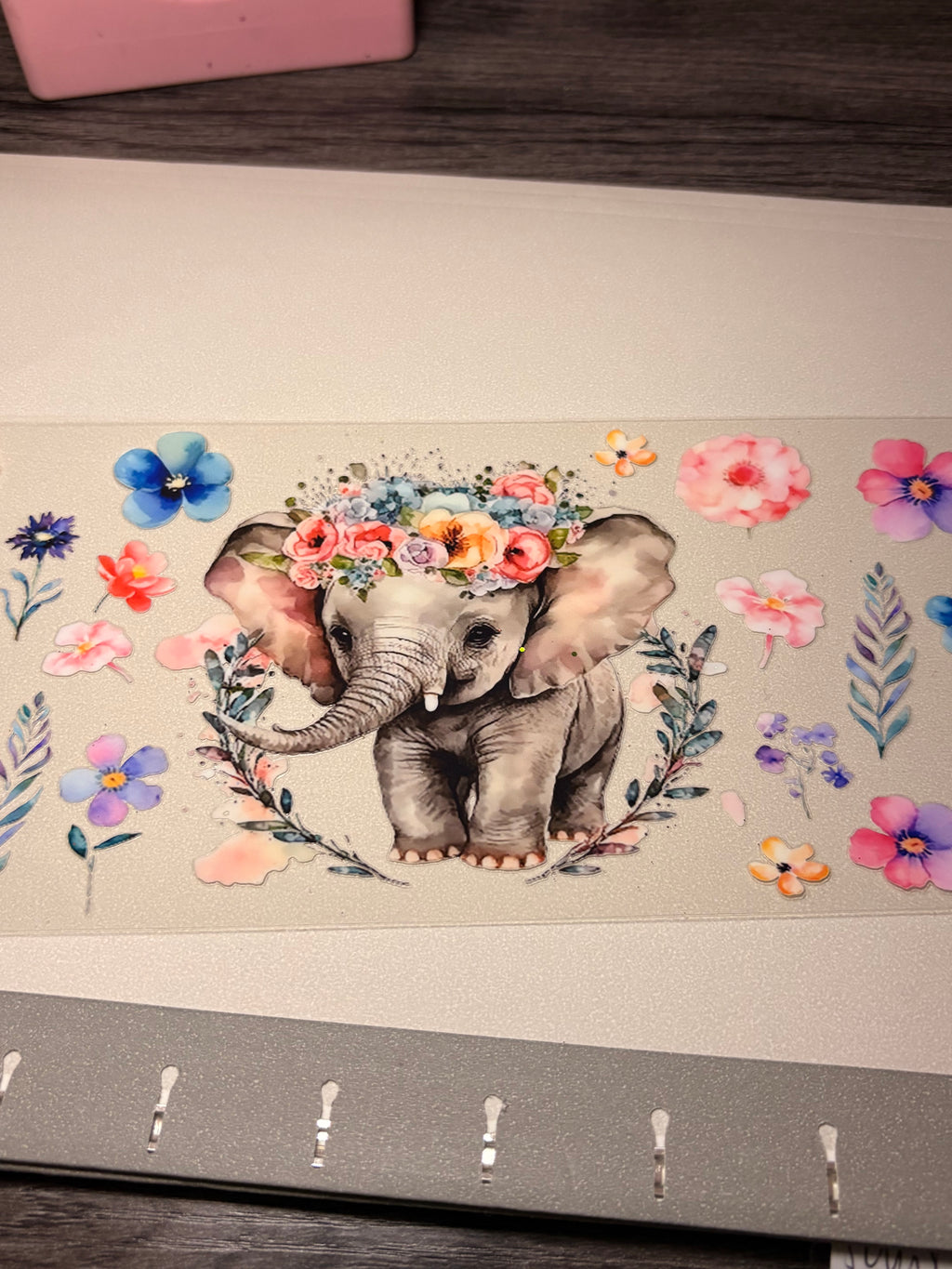 Animal/insect wraps🌵.