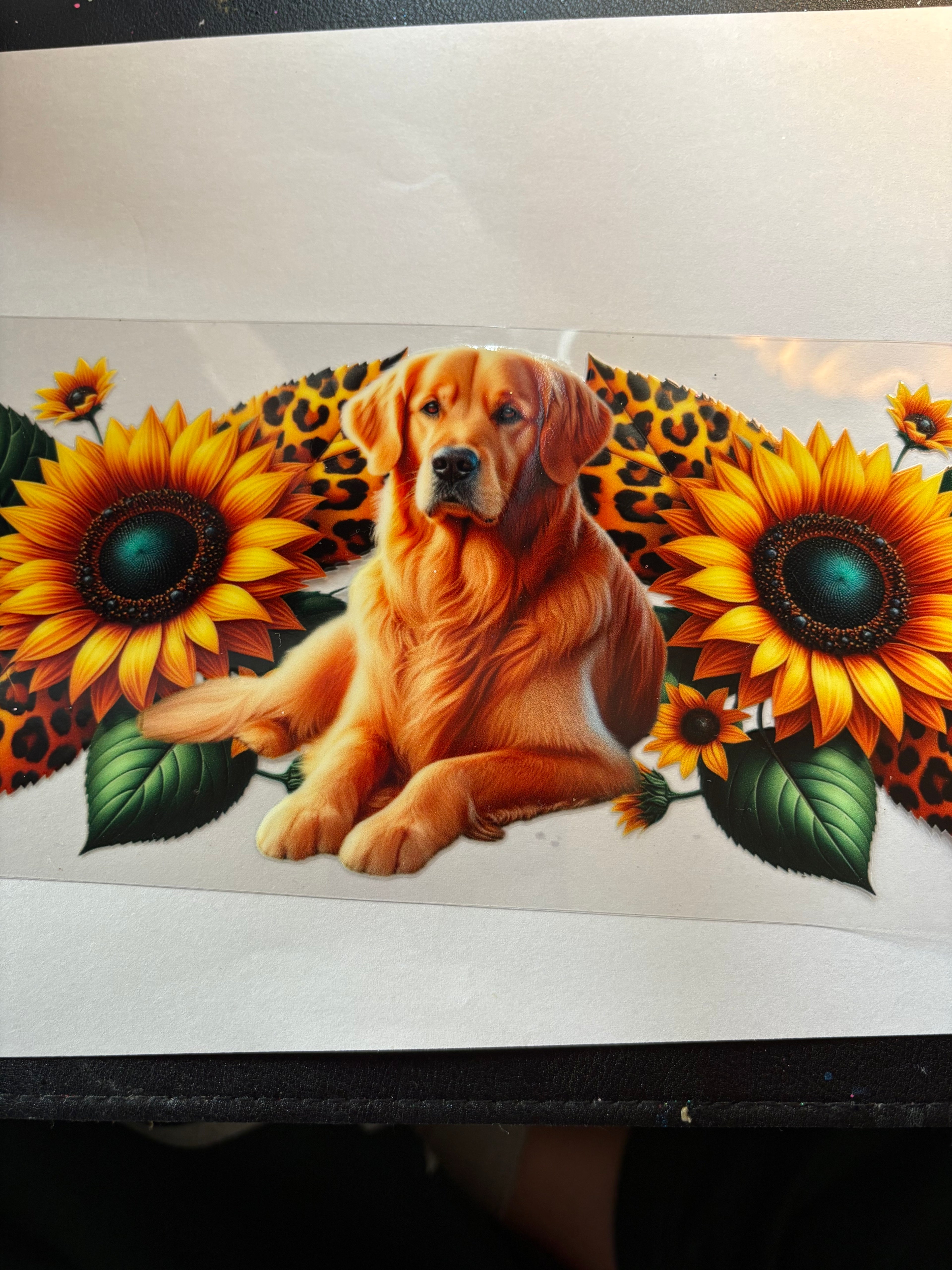 DOG wrap