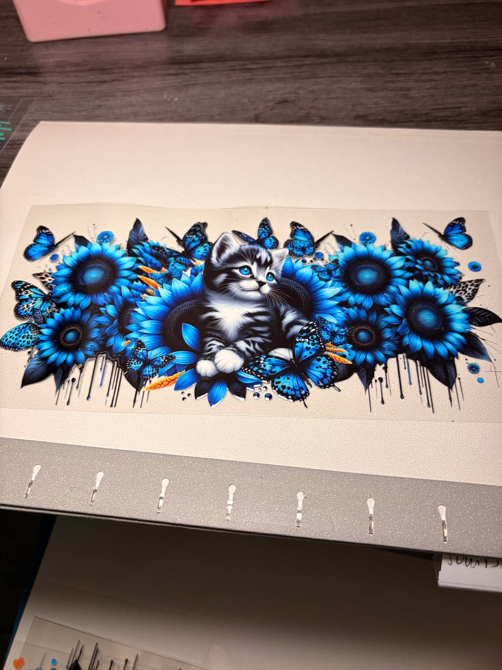 Animal/insect wraps🌵.