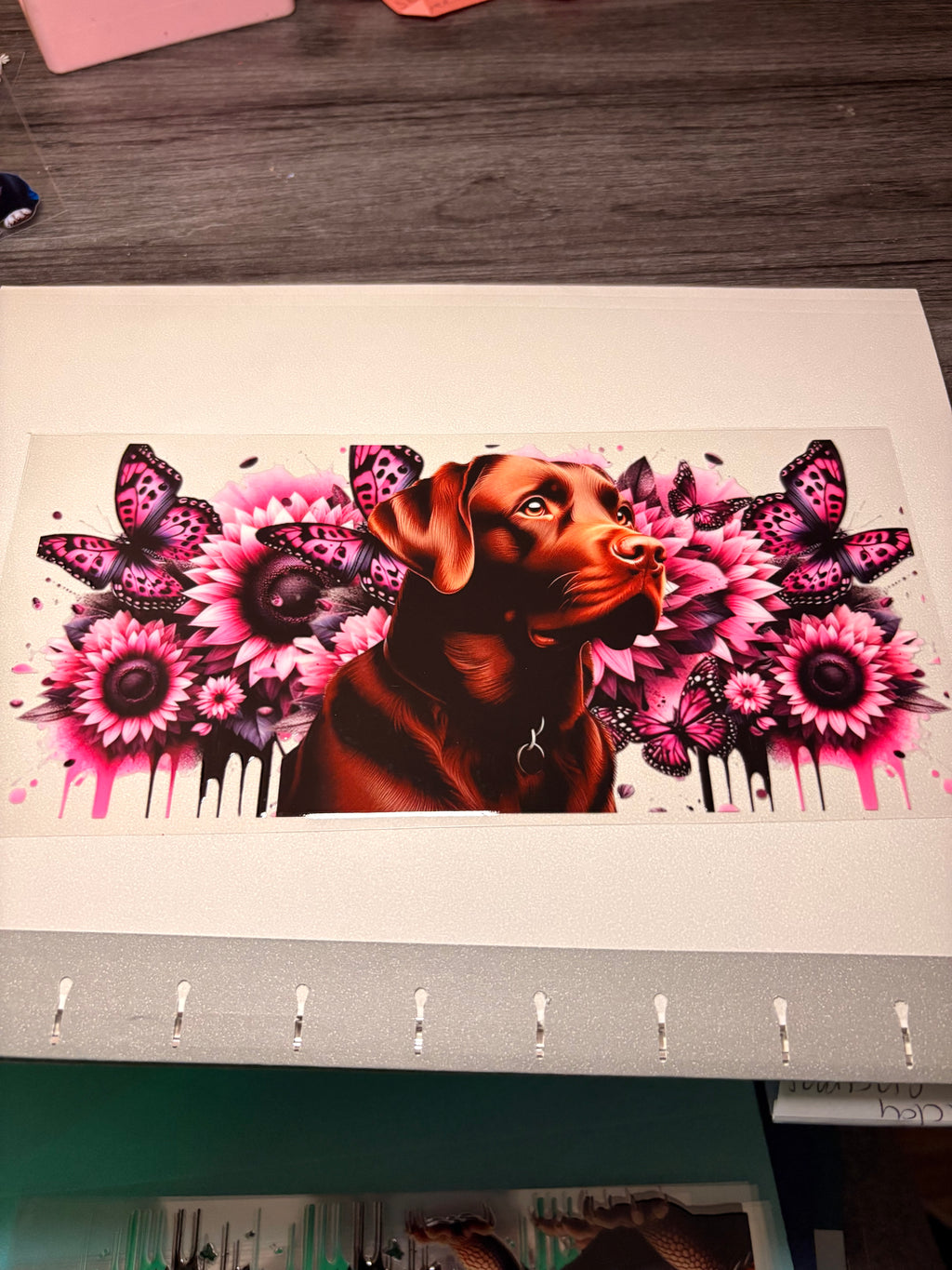 Animal/insect wraps🌵.