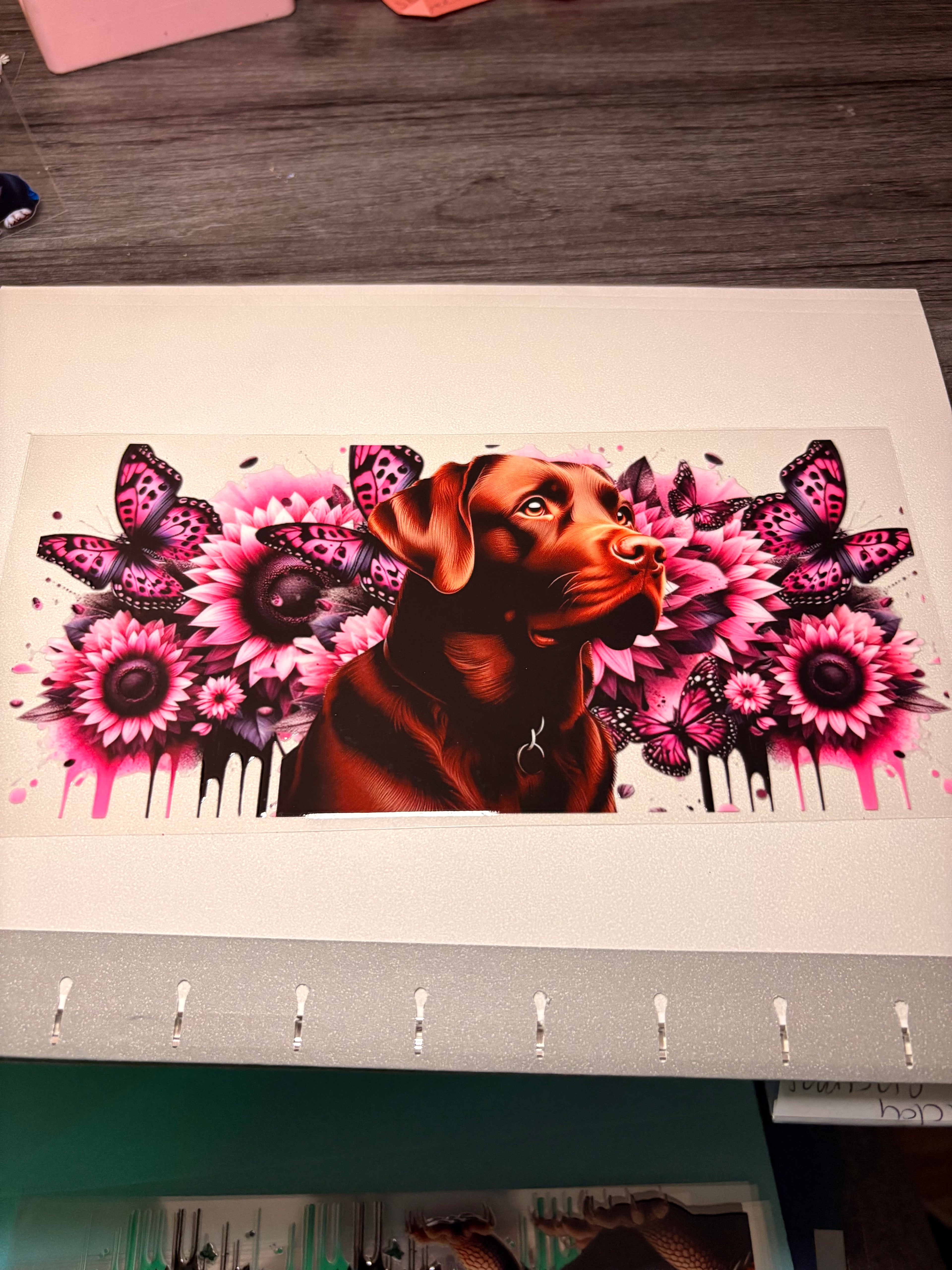 Animal/insect wraps🌵.