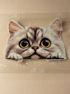 CAT decal