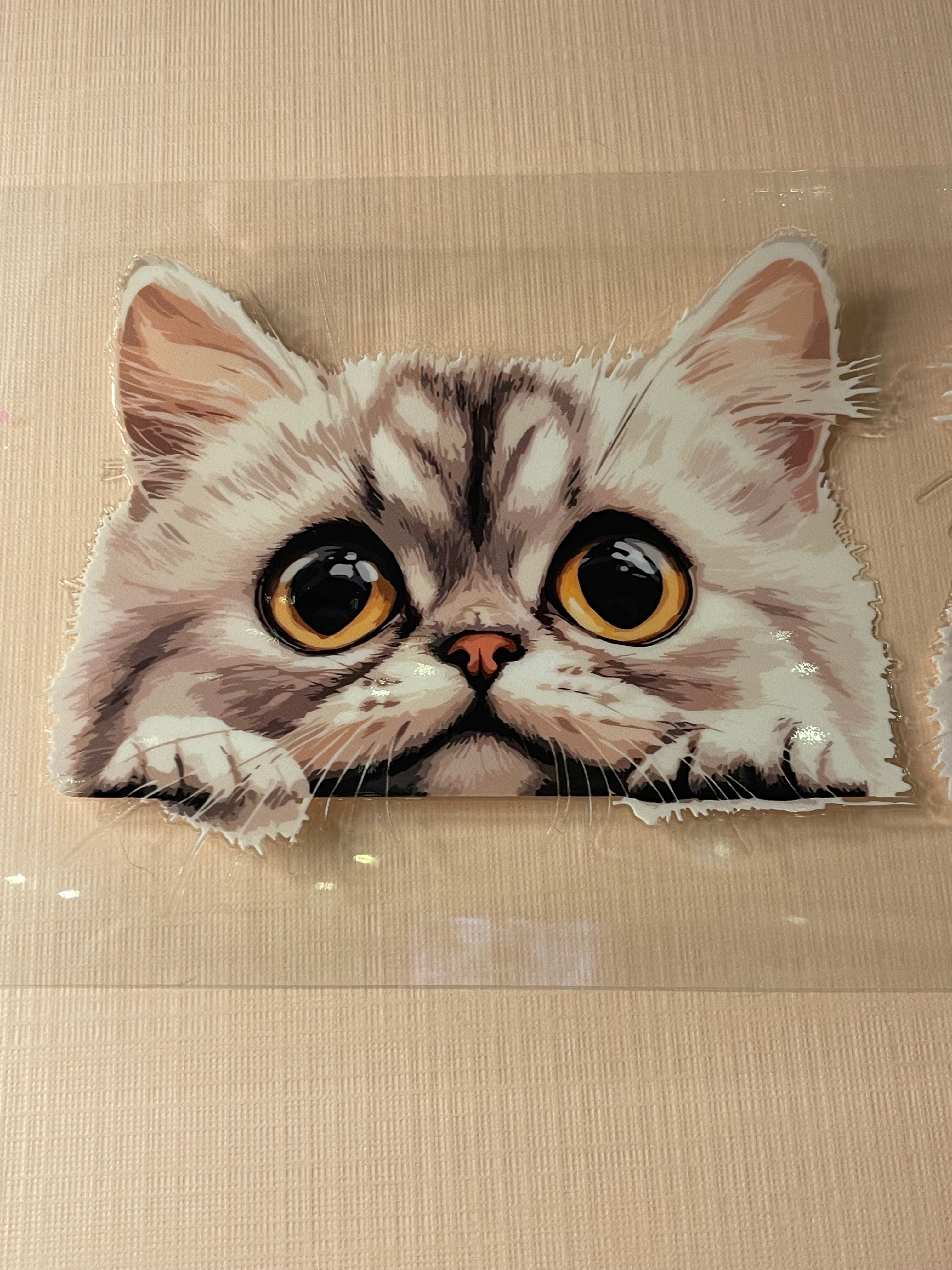 CAT decal