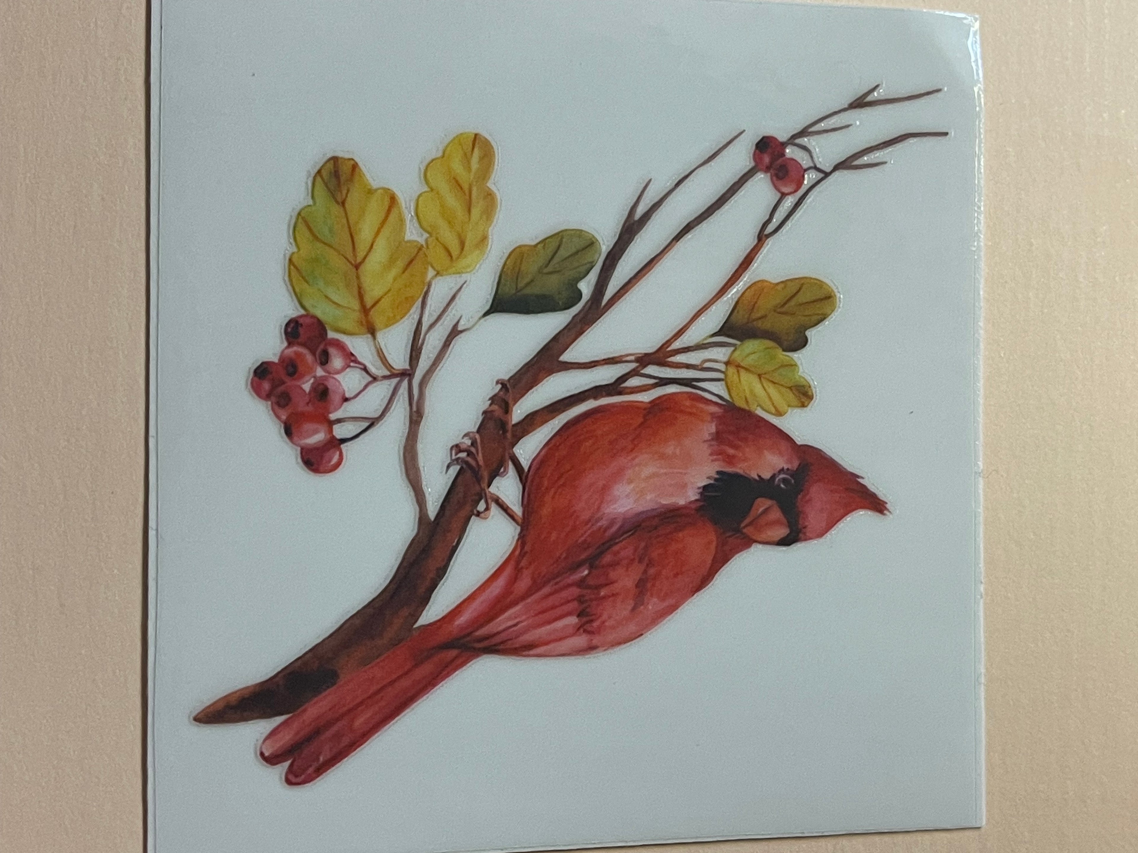 BIRDS + FLOWERS decal