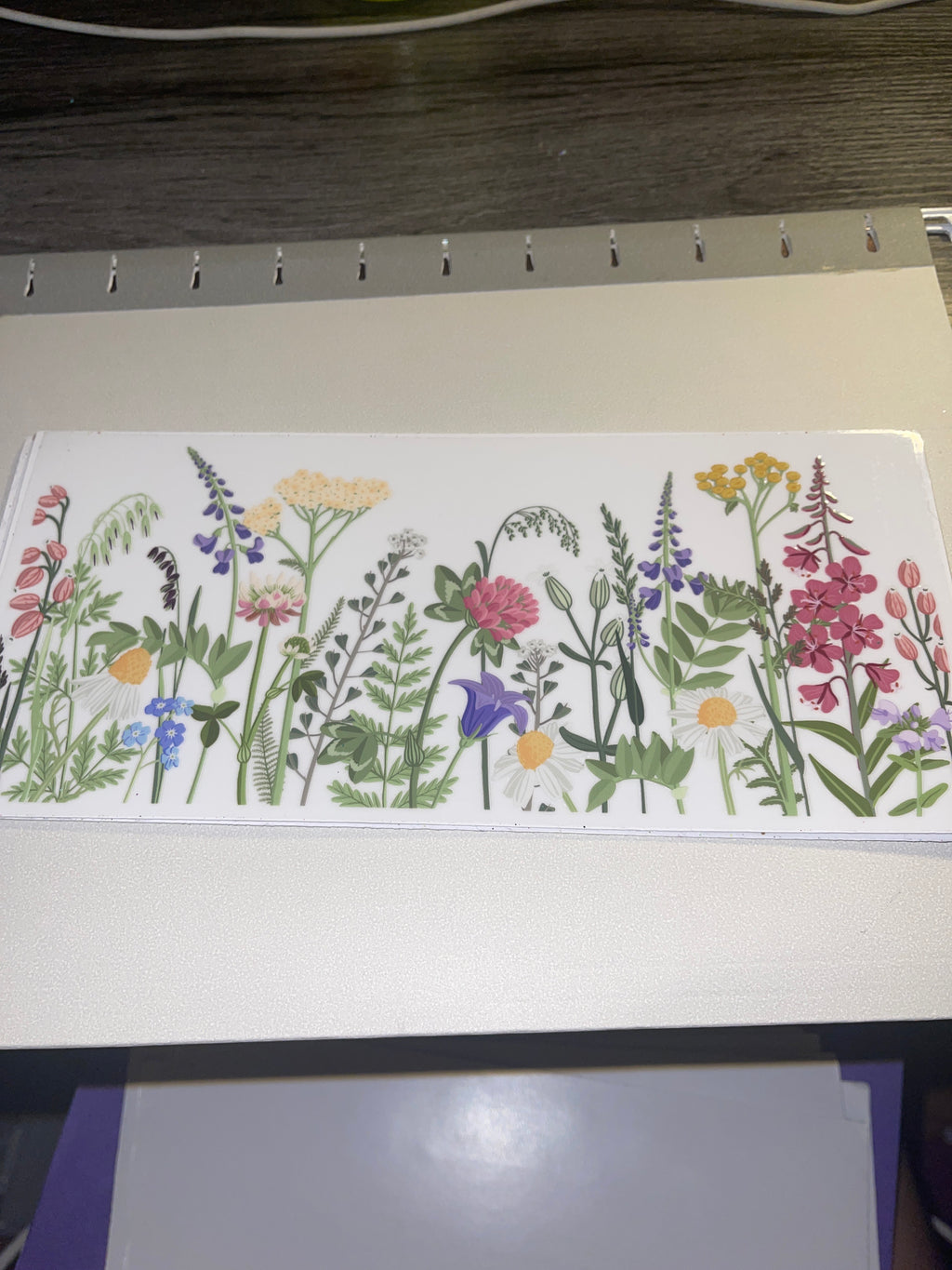 flowers/gnomes/fairy