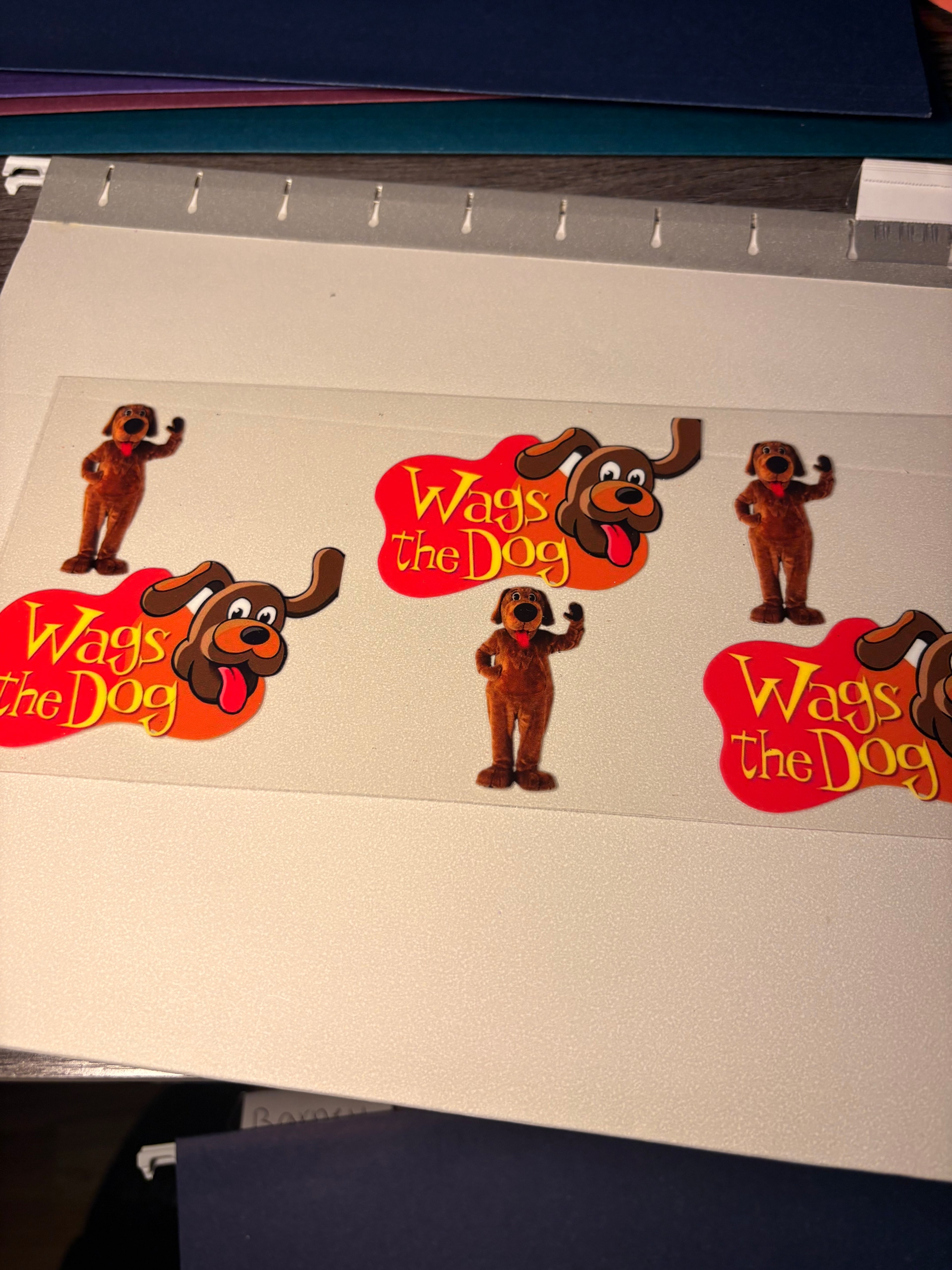 Kid movie/show wraps