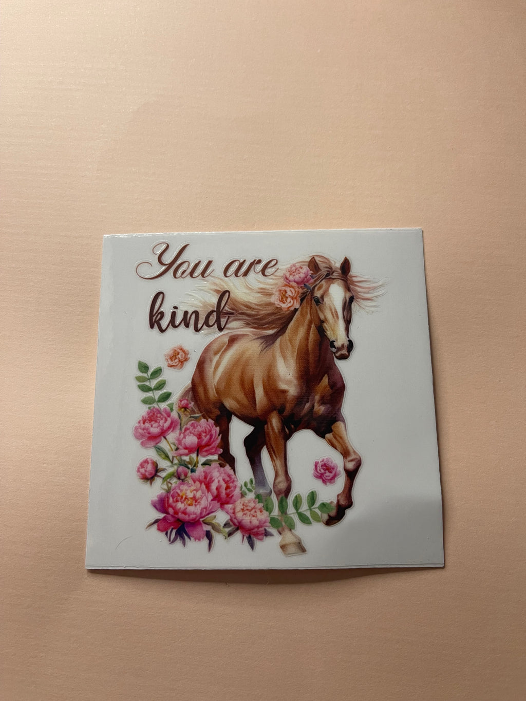 HORSE decals