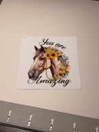 Animal/insect wraps🌵.