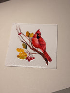 Animal/insect wraps🌵.