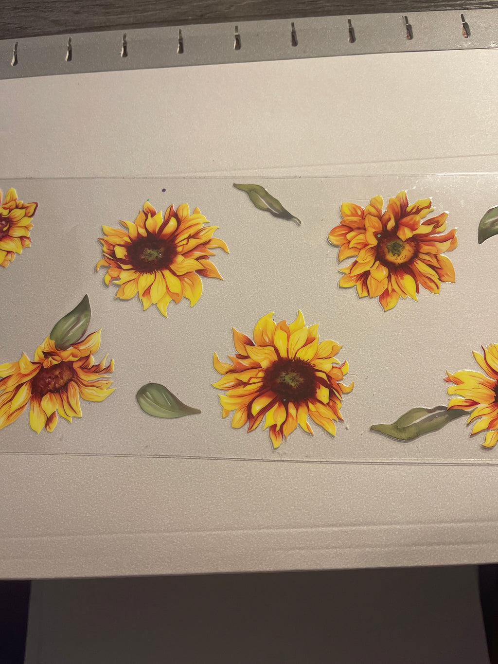 flowers/gnomes/fairy