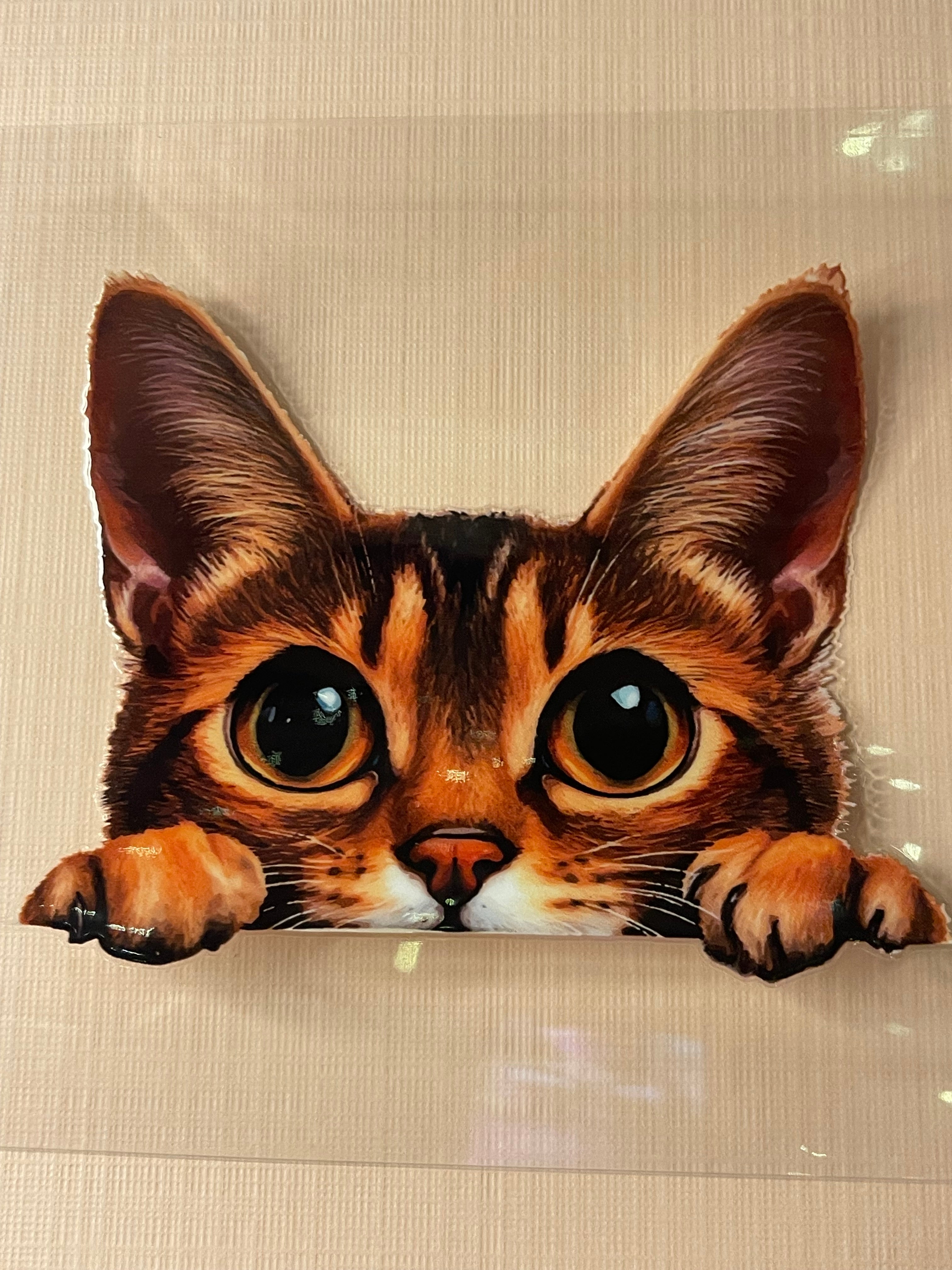 CAT decal