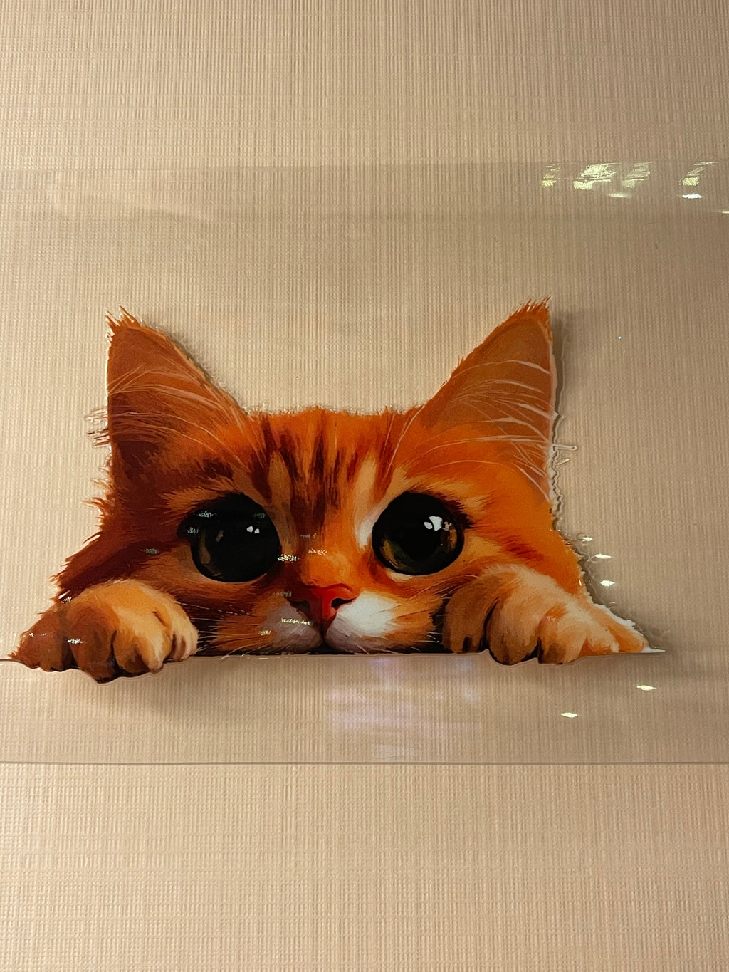 CAT decal