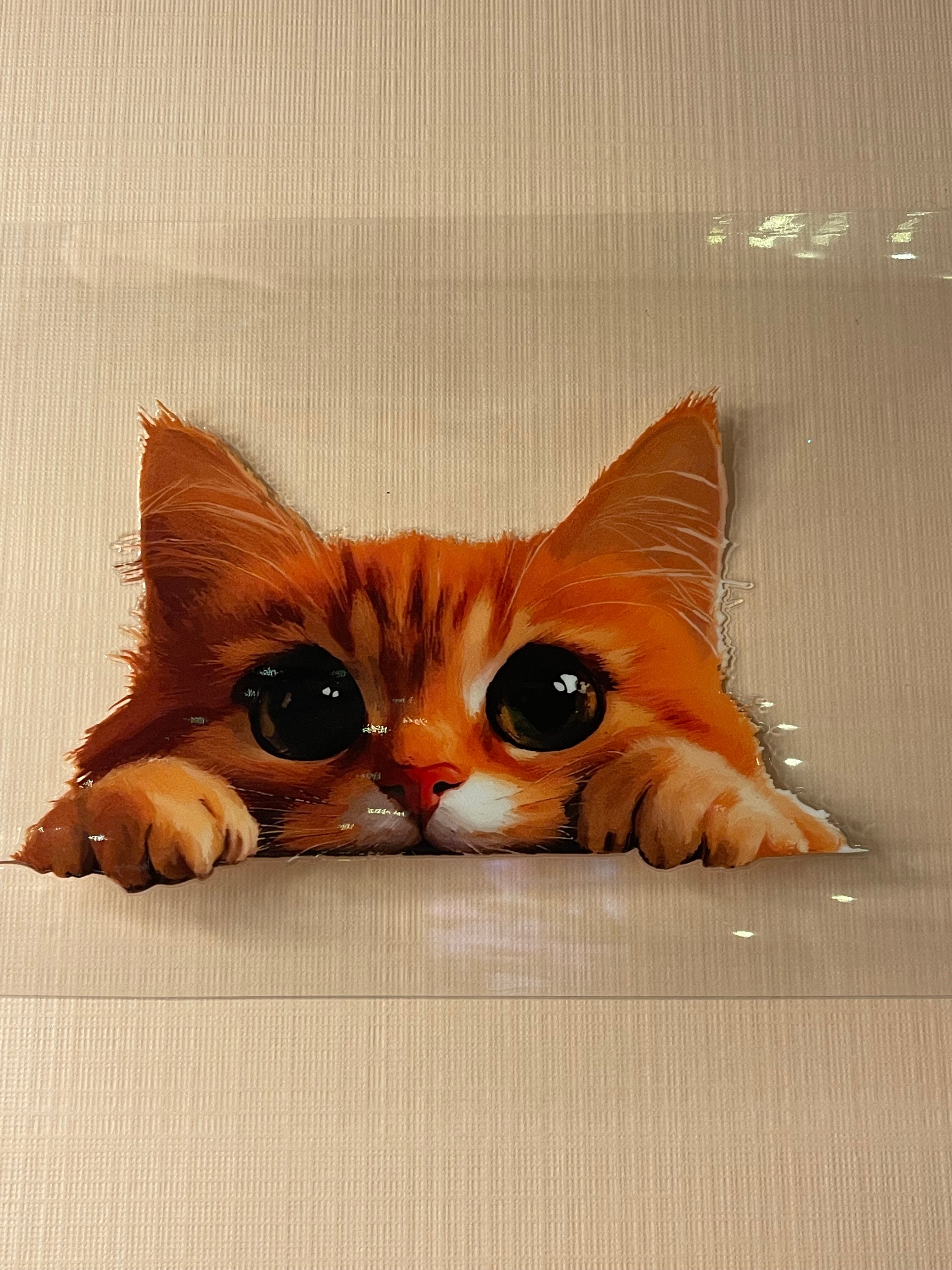 CAT decal