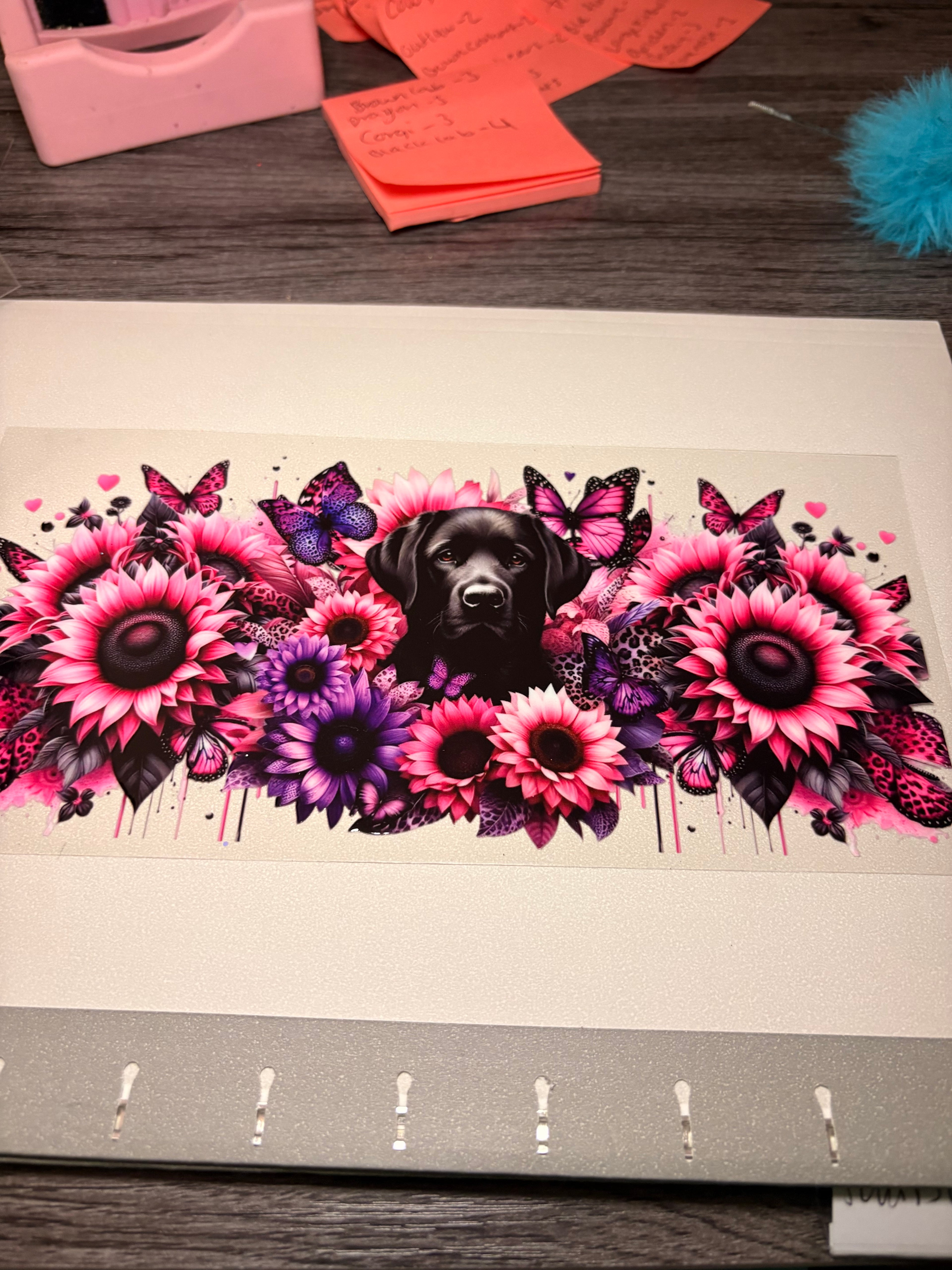 Animal/insect wraps🌵.