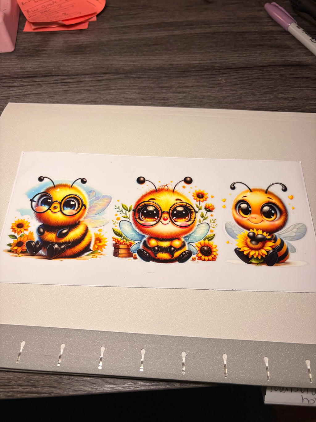 Animal/insect wraps🌵.