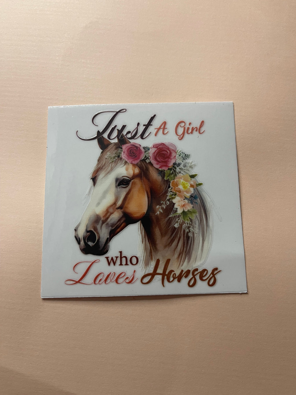 HORSE decals