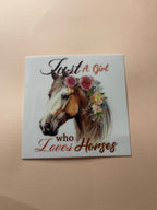 HORSE decals