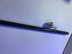 Charm glass straws