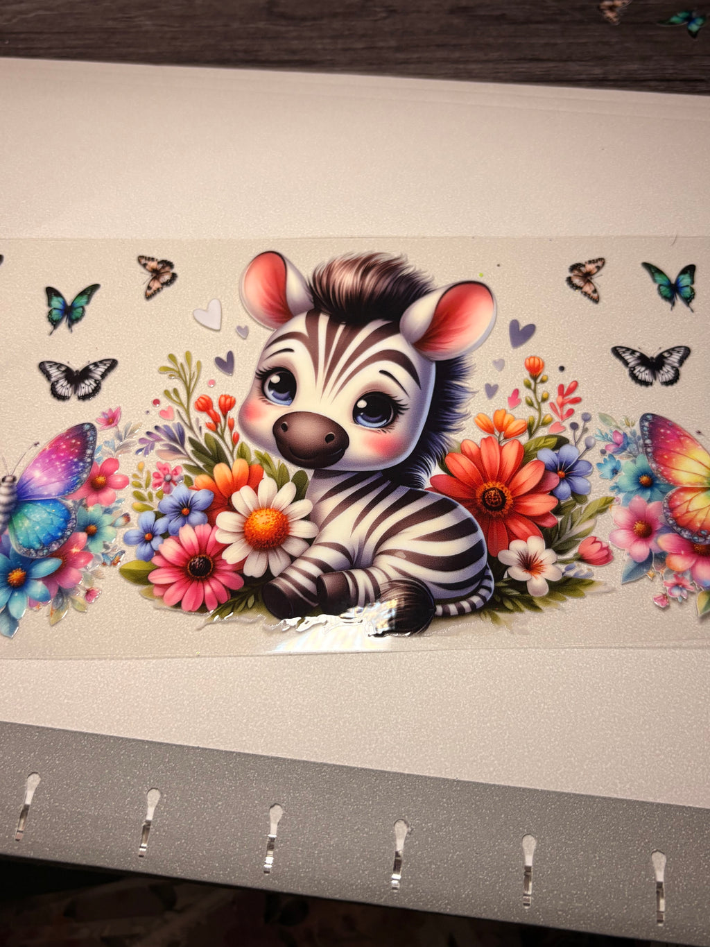 Animal/insect wraps🌵.