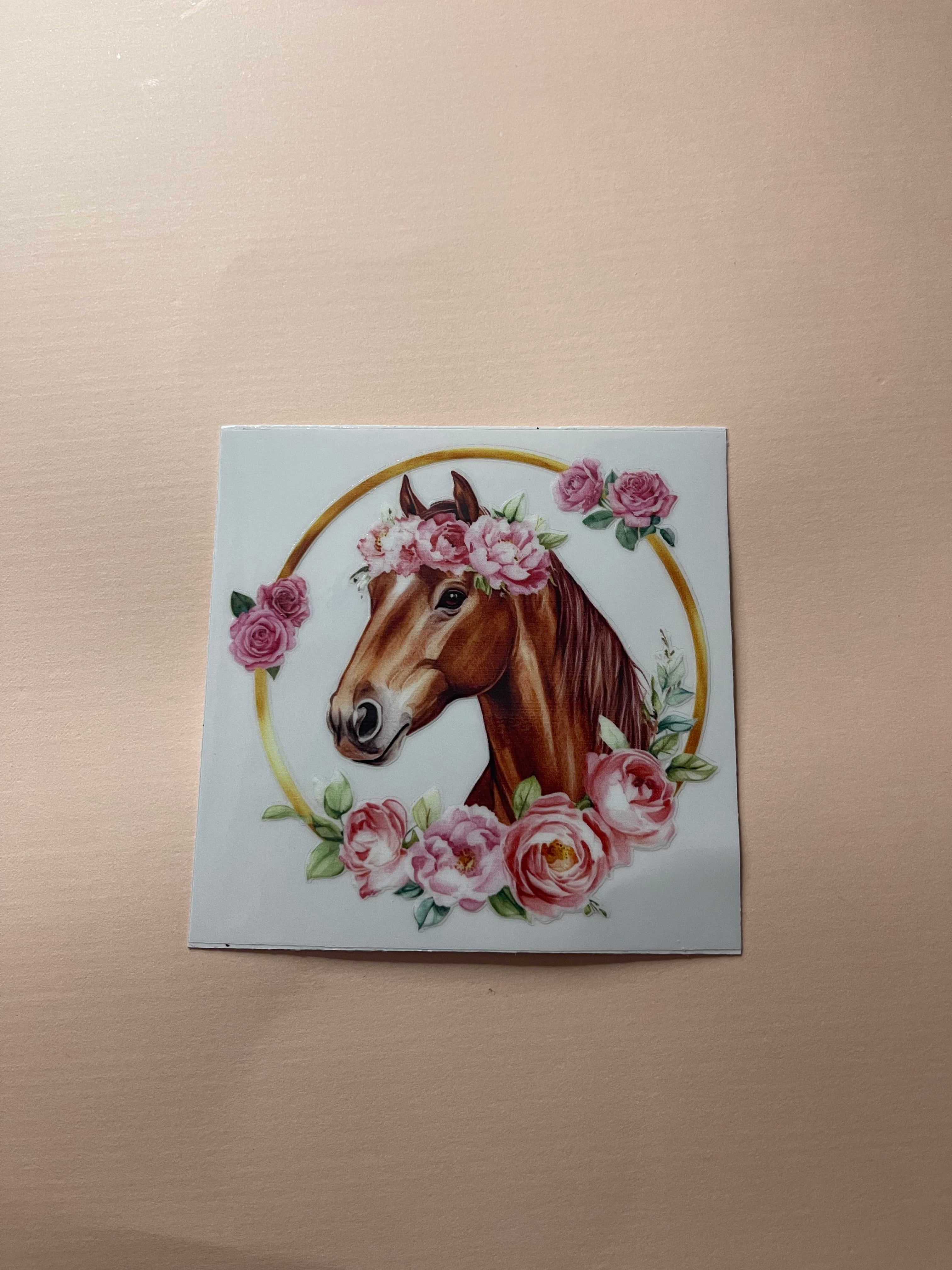 HORSE decals