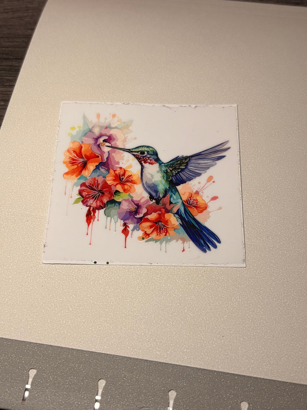 Animal/insect wraps🌵.