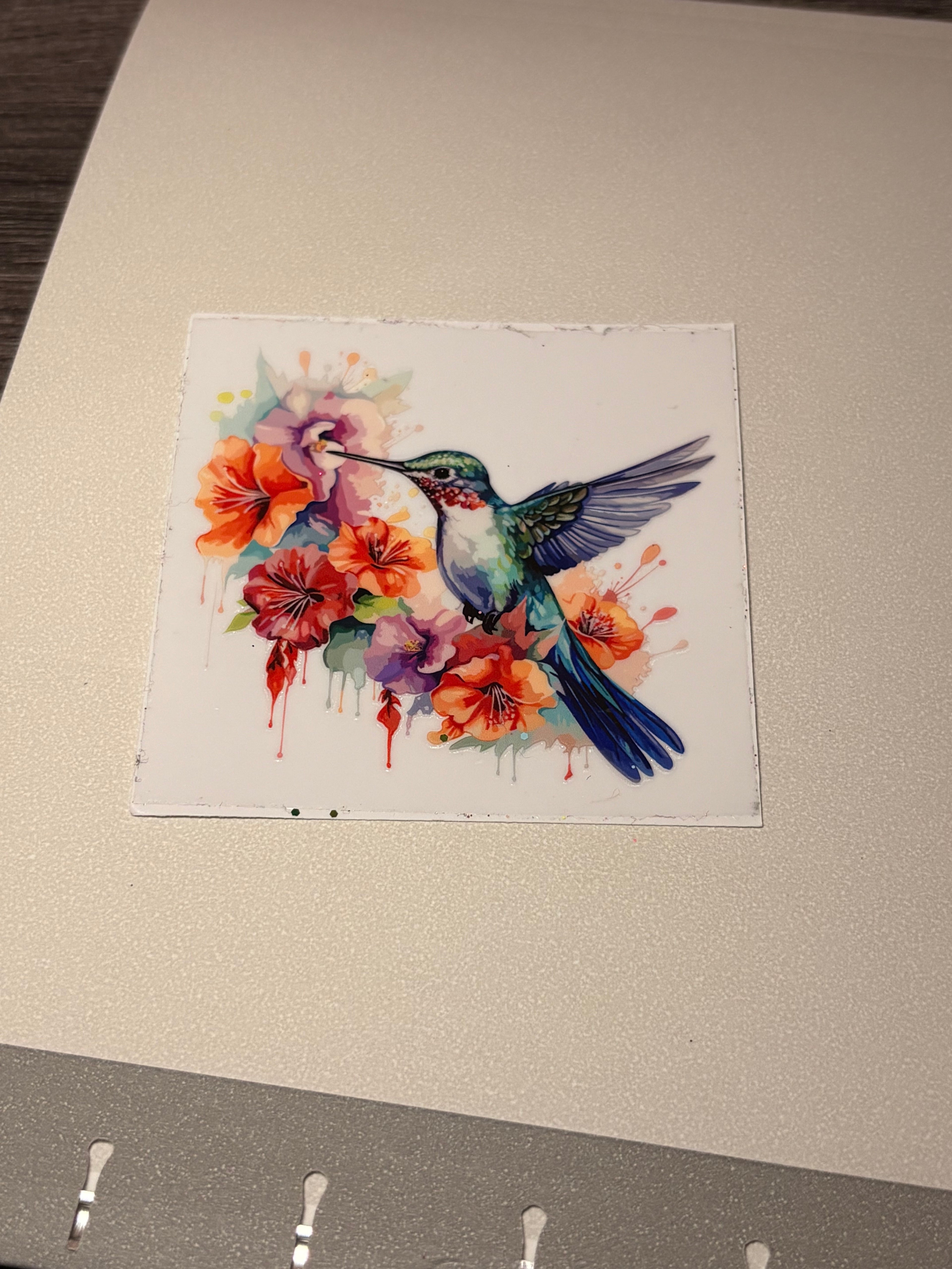 Animal/insect wraps🌵.