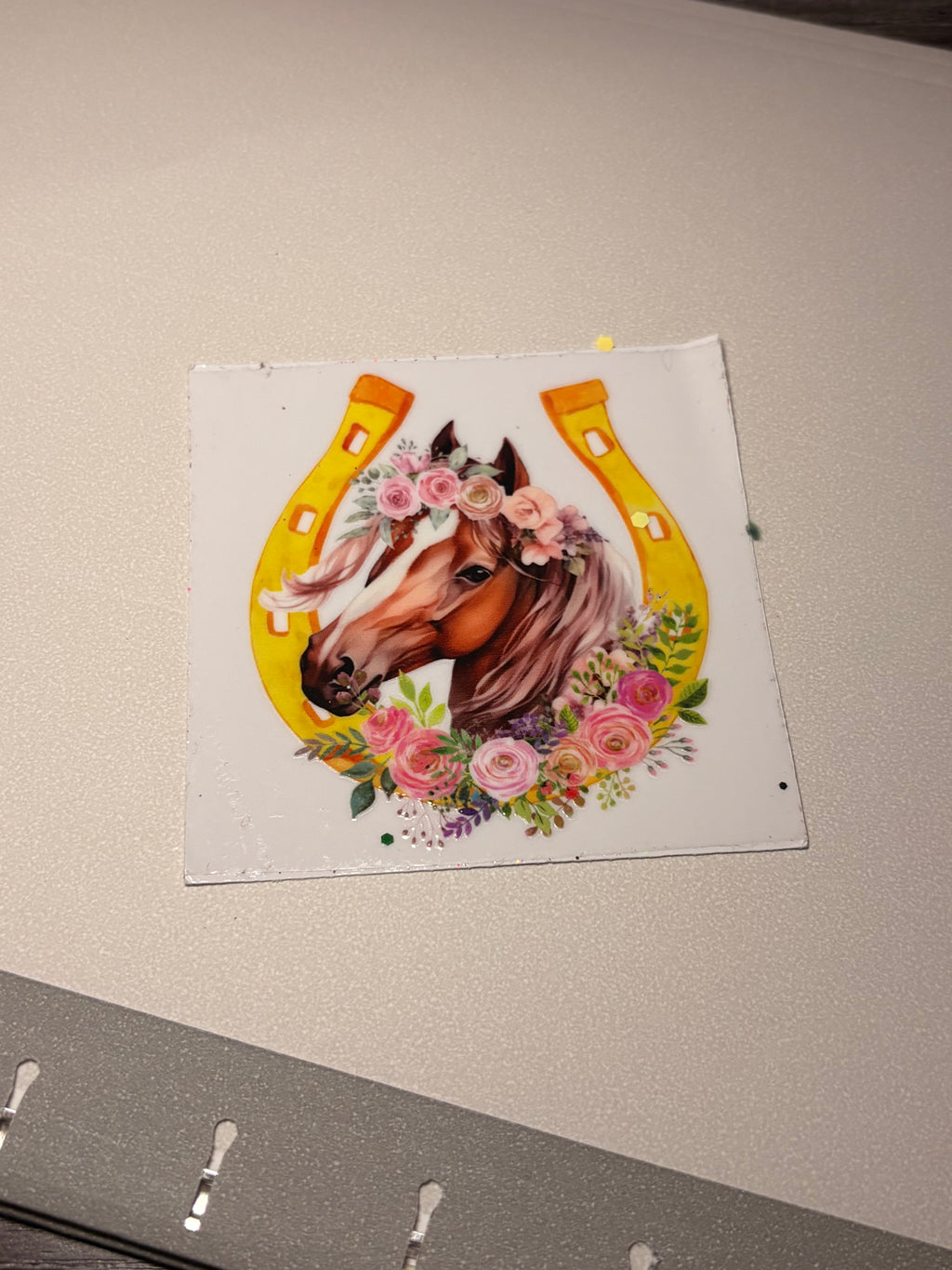 Animal/insect wraps🌵.