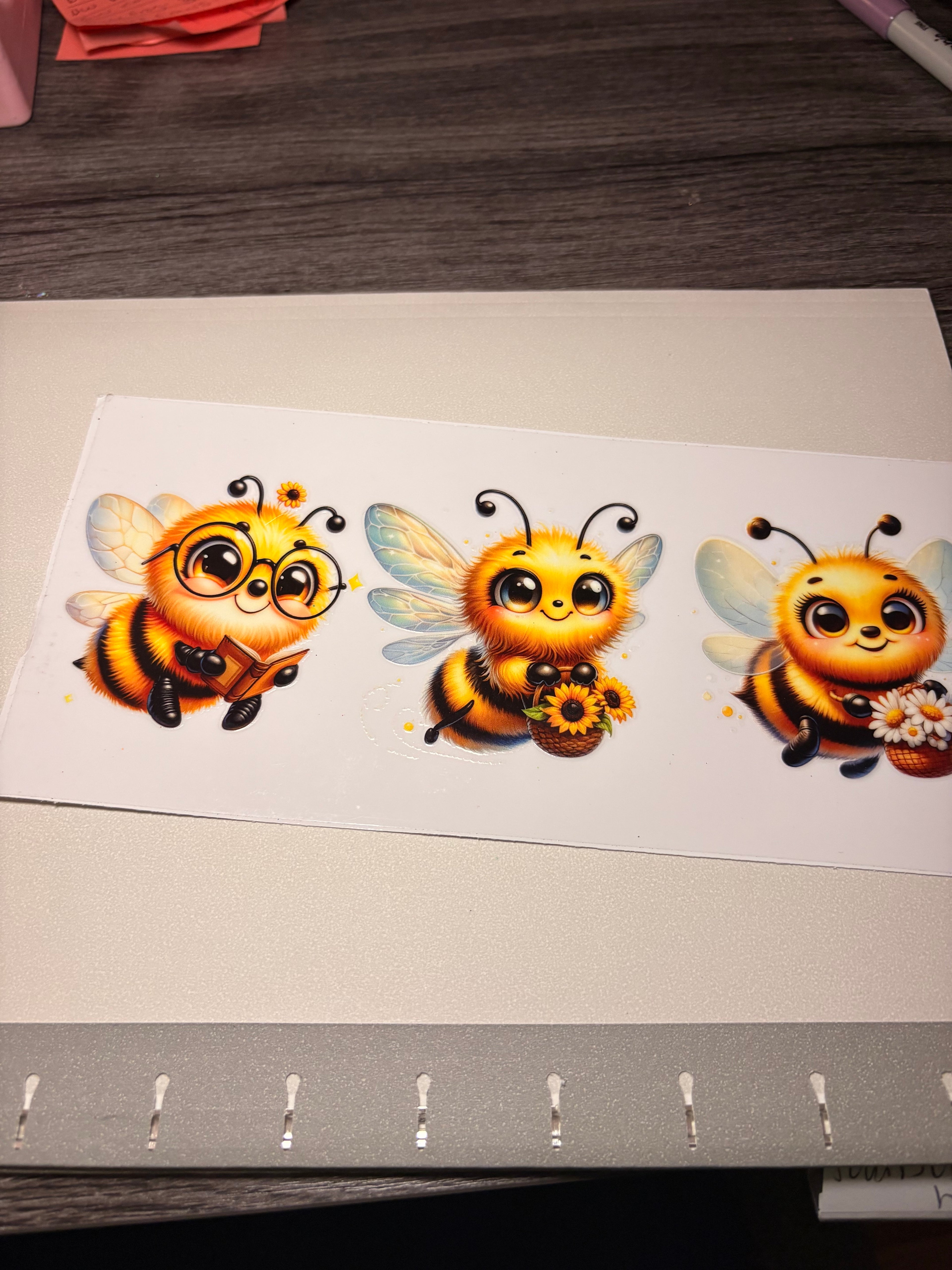 Animal/insect wraps🌵.