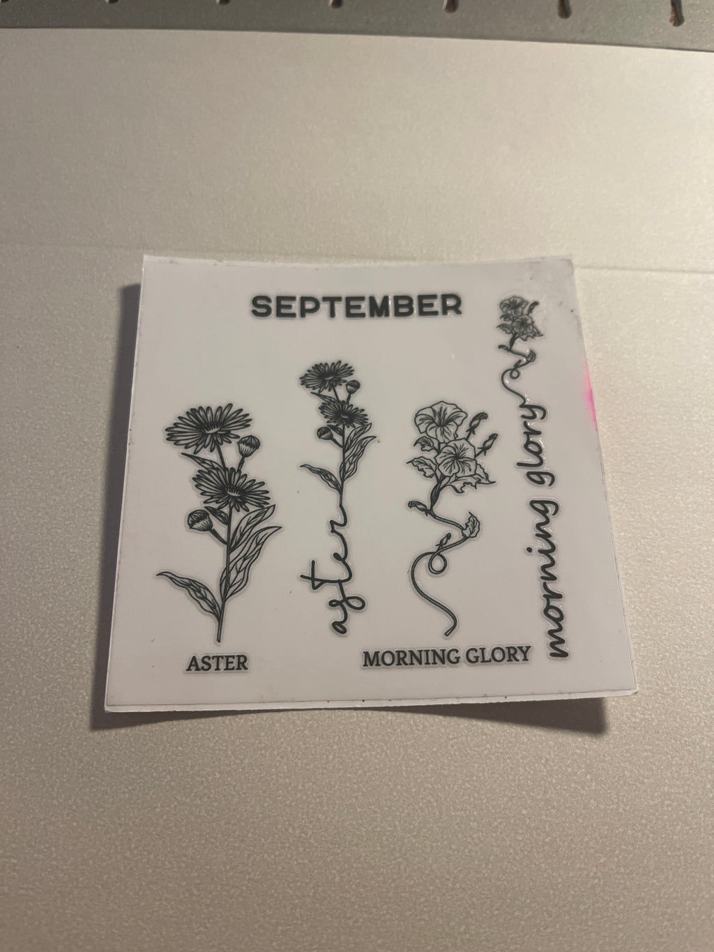 Zodiac/birth month wraps