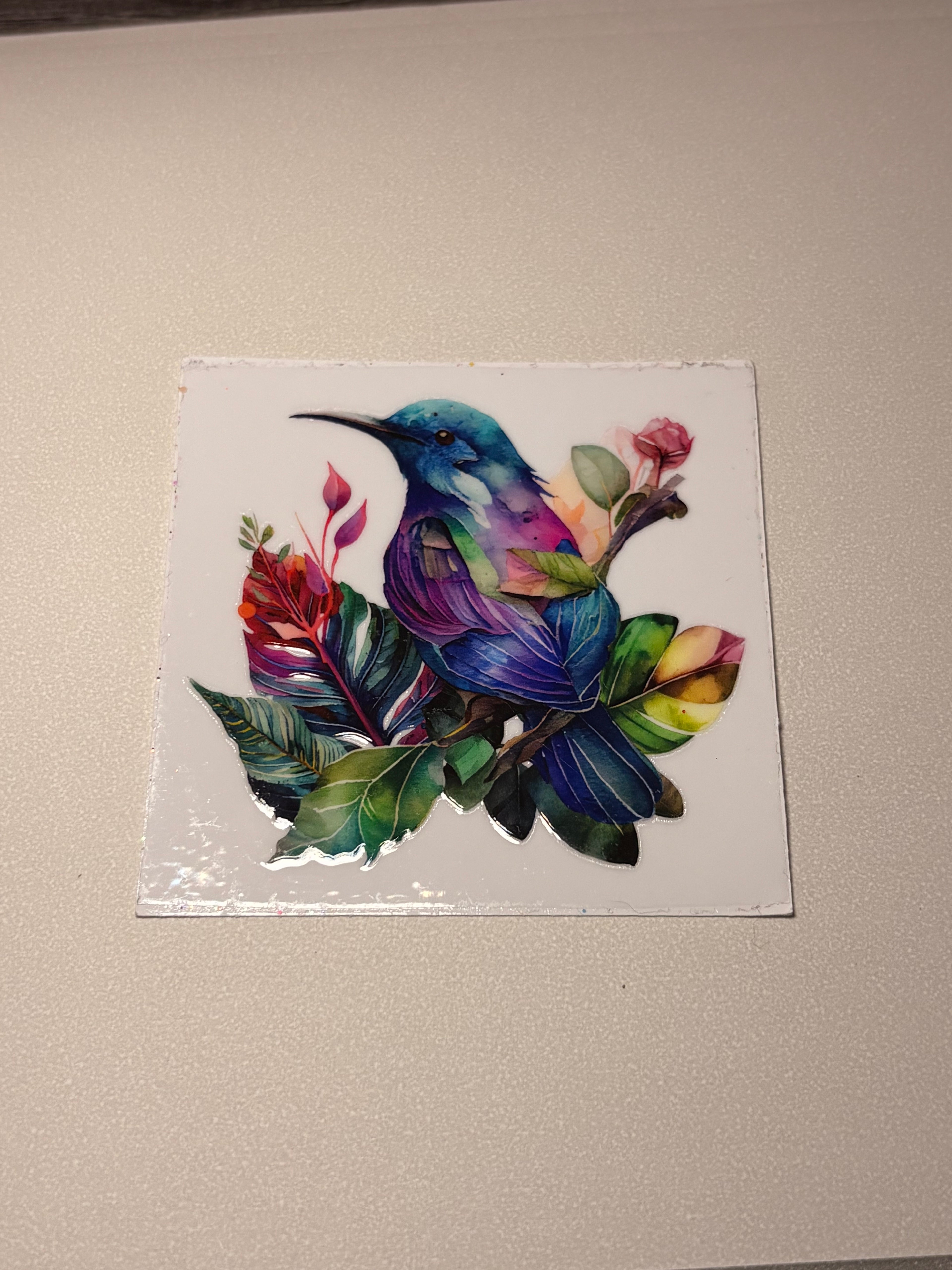 Animal/insect wraps🌵.