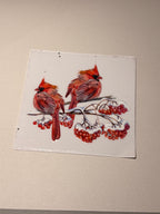 Animal/insect wraps🌵.