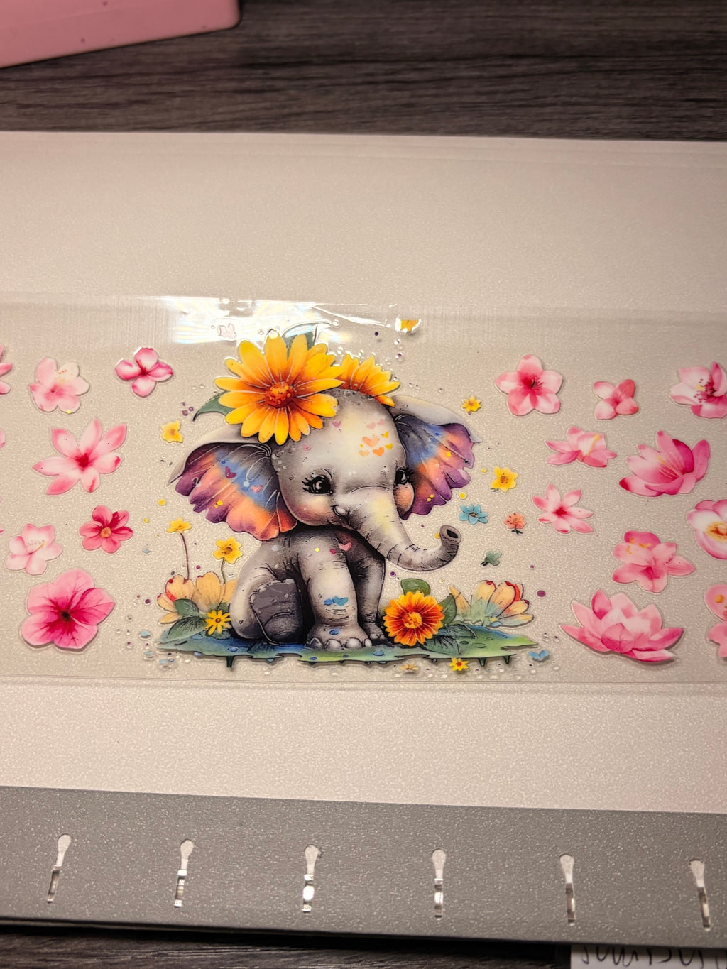 Animal/insect wraps🌵.