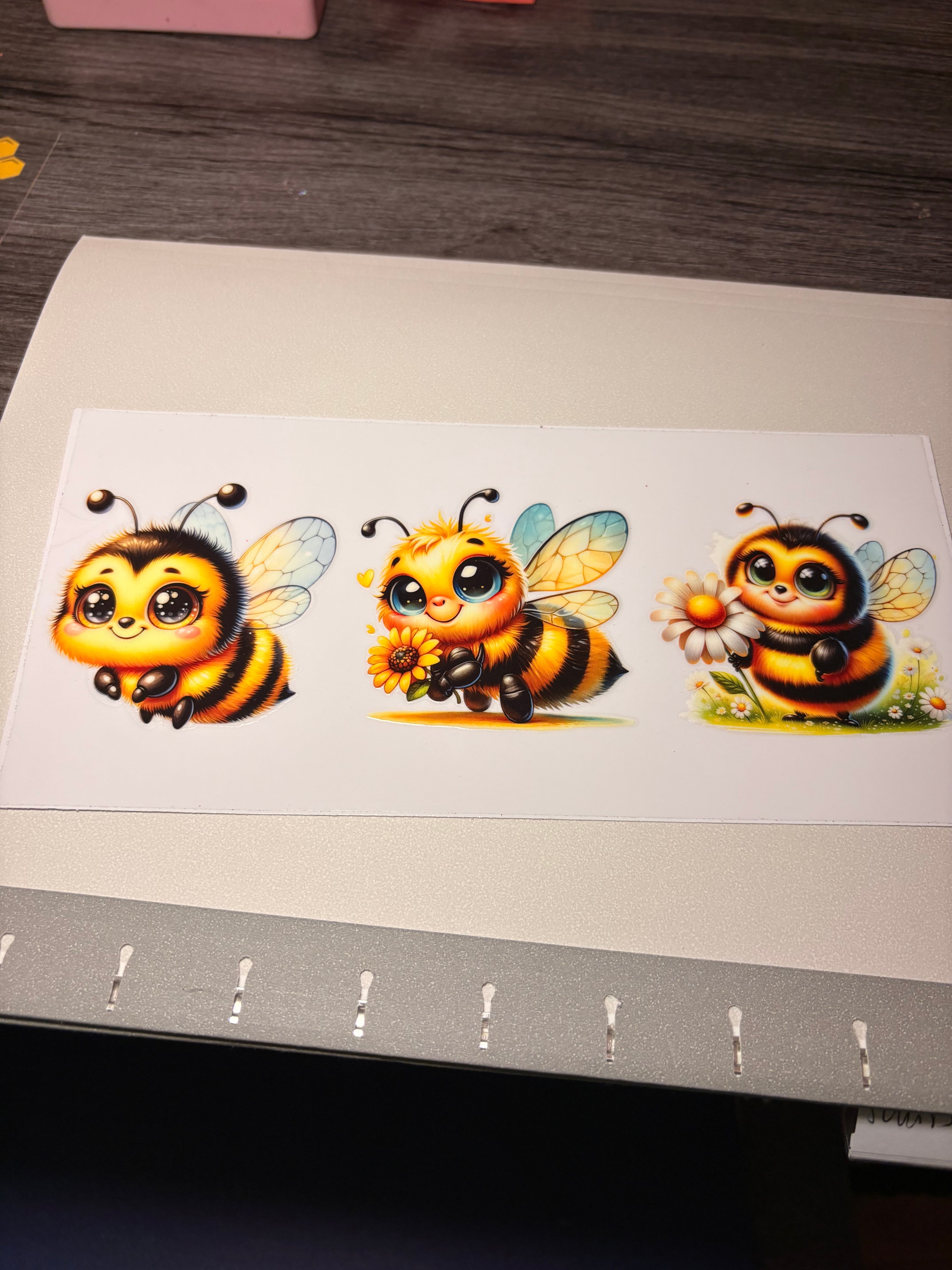 Animal/insect wraps🌵.