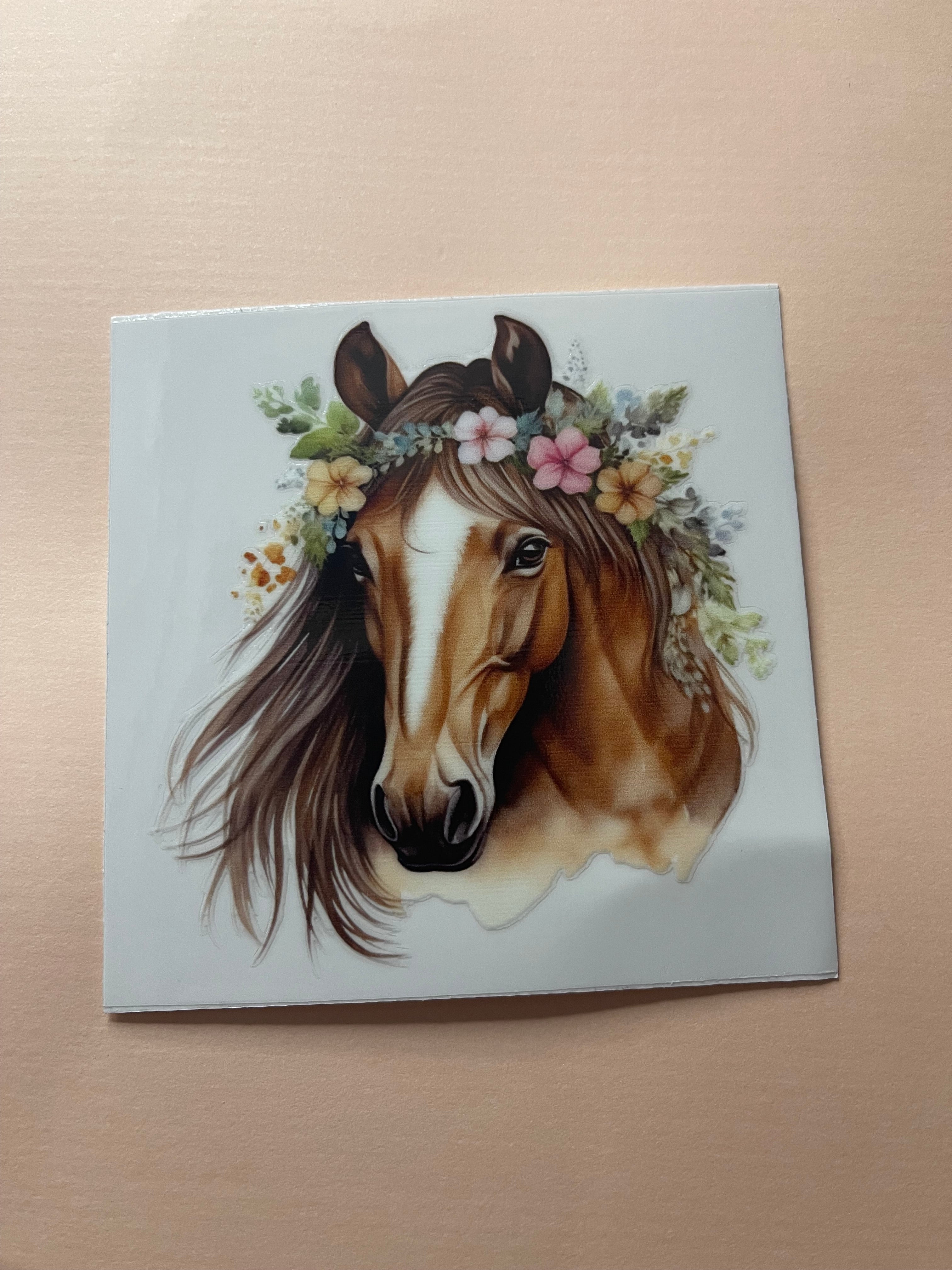 HORSE decals
