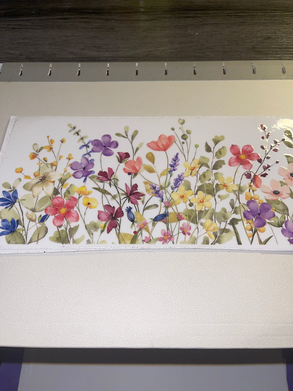 flowers/gnomes/fairy